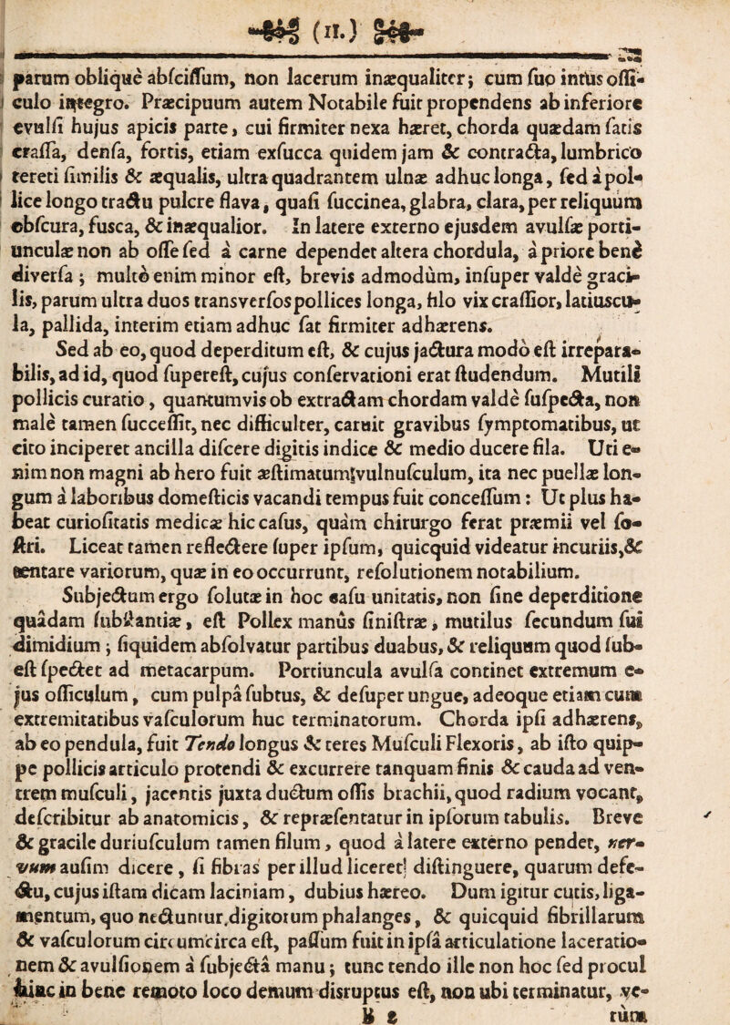 i parum oblique abfciffiim, non lacerum inaequaliter} cum fuo inttasofli- i culo integro. Praecipuum autem Notabile fuit propendens ab inferiore evtalfi hujus apicis parte, cui firmiter nexa haeret, chorda quaedam fatis crafla, denfa, fortis, etiam exfucca quidem jam & contra&a, lumbrico i tereti limitis & aequalis, ultra quadrantem ulnae adhuc longa, fedapota lice longo tradu pulcre flava, quafl fuccinea, glabra, clara, per reliquum cbfcura, fusca, & inaequalior. In latere externo ejusdem avulfa: porti¬ unculae non ab offefed a carne dependet altera chordula, a priore ben£ diverfa } mult^ enim minor eft, brevis admodum, infuper valde graci¬ lis, parum ultra duos transverfospollices longa, hio vix craffior, latiuscii- ia, pallida, interim etiam adhuc fat firmiter adhaerens. Sed ab eo, quod deperditum eft, & cujus ja&ura modo eft irrepar»* bilis, ad id, quod fupereft, cujus confervationi erat ftudendum. Mutili pollicis curatio, quantumvis ob extradam chordam valde fufpeda, non male tamen fucceflir, nec difficulter, carait gravibus fjrmptomatibus, ut cito inciperet ancilla difeere digitis indice & medio ducere fila. Uri e® nimnon magni ab hero fuit a^ftimatumSvulnufcuium, ita nec puellae lon¬ gum a laboribus domefticis vacandi tempus fuit conceftum: Ut plus ha¬ beat curiofitatis medicae hic cafus, quam chirurgo ferat praemii vel fo- ftri. Liceat tamen refledere fuper ipfum, quicquid videatur incuriis,8c eentare variorum, quae in eo occurrunt, refolutionem notabilium. Subje&um ergo folutaein hoc «afu unitatis, non fine deperditione quadam fub&antke, eft Pollex manus finiftrae, mutilus fecundum fui dimidium} fiquidem abfolvatur partibus duabus, & reliquum quod fub- eft fpedet ad metacarpum. Portiuncula avulfa continet extremum c- jus officulum, cum pulpa fubtus, & defuper ungue, adeoque etiam cum extremitatibus vafculorum huc terminatorum. Chorda ipfi adhaerens^ ab eo pendula, fuit Tendo longus & reres Mufculi Flexoris, ab ifto quip¬ pe pollicis articulo protendi & excurrere ranquam finis Sc cauda ad ven¬ trem mufculi, jacentis juxta dudum offis brachii, quod radium vocant» deferibitur ab anatomicis, &” reprafentatur in ipforum tabulis. Breve gracile duriufculum tamen filum, quod a latere externo pender, ner» vum aufim dicere, fi fibras per illud liceret? diftinguere, quarum defe- du,cujusiftara dicam laciniam, dubius haereo. Dumigirurcutis,liga- mentum,quontdunrur.digitorumphalanges, & quicquid fibrillarum 6c vafculorum circumcirca eft, paflum fuit in ipfa articulatione laceratio¬ nem dc avulfiocem a fubje&a manu} tunc tendo ille non hoc fed procul Iriac in bene remoto loco demum disruptus eft, non ubi terminatur, ve¬ li % rutm