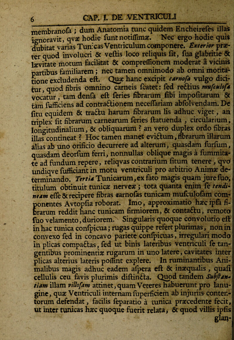 membranofa ; dum Anatomia tunc quidem Encheirefes illas ignoravit, qvae hodie funtnotiflimae. Nec ergo hodie quii dubitat varias Tunicas Ventriculum componere. Exterior prae¬ ter quod involucri & vellis loco reliquis lit, fuaglabritie 8c lxvitate motum faciUtat & compreflionem moderat a vicinis partibus familiarem; nec tamen omnimodo ab omni motita- tione excludenda ell. Quae hanc excipit carnoft vulgo dici¬ tur, quod fibris omnino carneis fcatet: fed rettius mufculoft vocatur, tam denfa eft feries fibrarum libi impolitarum 8c tam fufficiens ad contra&ionem neceflariam abfolvendam. De litu equidem 8c tra&u harum fibrarum lis adhuc viget, an | triplex fit fibrarum carnearum feries ftatuenda , circularium , i longitudinalium, & obliquarum ? an vero duplex ordo fibras i illas contineat ? Hoc tamen manet eviftum,fibrarum illarum alias ab uno orificio decurrere ad alterum, quasdam furlum, i quasdam deorfum ferri, nonnullas oblique magis a fummita- j te ad fundum repere, reliqvas contrarium litum tenere, qvo j undiqve fufficiant in motu ventriculi pro arbitrio Anima: de- • terminando. Terti* Tunicarum, ex fato magis quam jure fuo, titulum obtinuit tunicae nerveae; tota quanta enim fe tendi- j neam efle & recipere fibras «arnofas tunicam mulculolam com¬ ponentes Avtopfia roborat. Imo, approximatio haec ipfa fi¬ brarum reddit hanc tunicam firmiorem, & contaftu, remoto fuo velamento, duriorem. Singularis quoque convolutio eft in hac tunica confpicua; rugas quippe refert plurimas, non in convexo fed in concavo pariete conlpicuas, irregulari modo in plicas compa&as, fed ut binis lateribus ventriculi fe tan- i gentibus prominentiae rugarum in uno latere, cavitates inter, plicas alterius lateris poflint explere. In ruminantibus Ani- malibus magis adhuc eadem alpera eft 8c inaequalis, quali , cellulis ceu favis plurimis diftineta. Quod tandem SubftAn¬ tiam illam villofam attinet, quam Veteres habuerunt pro lanu¬ gine , quae Ventriculi internam luperficiem ab injuriis- conten¬ torum defendat, facilis leparatio a tunica praecedente fecit,i ut inter tunicas haec quoque fuerit relata, & quod villis ipfisj - glan*