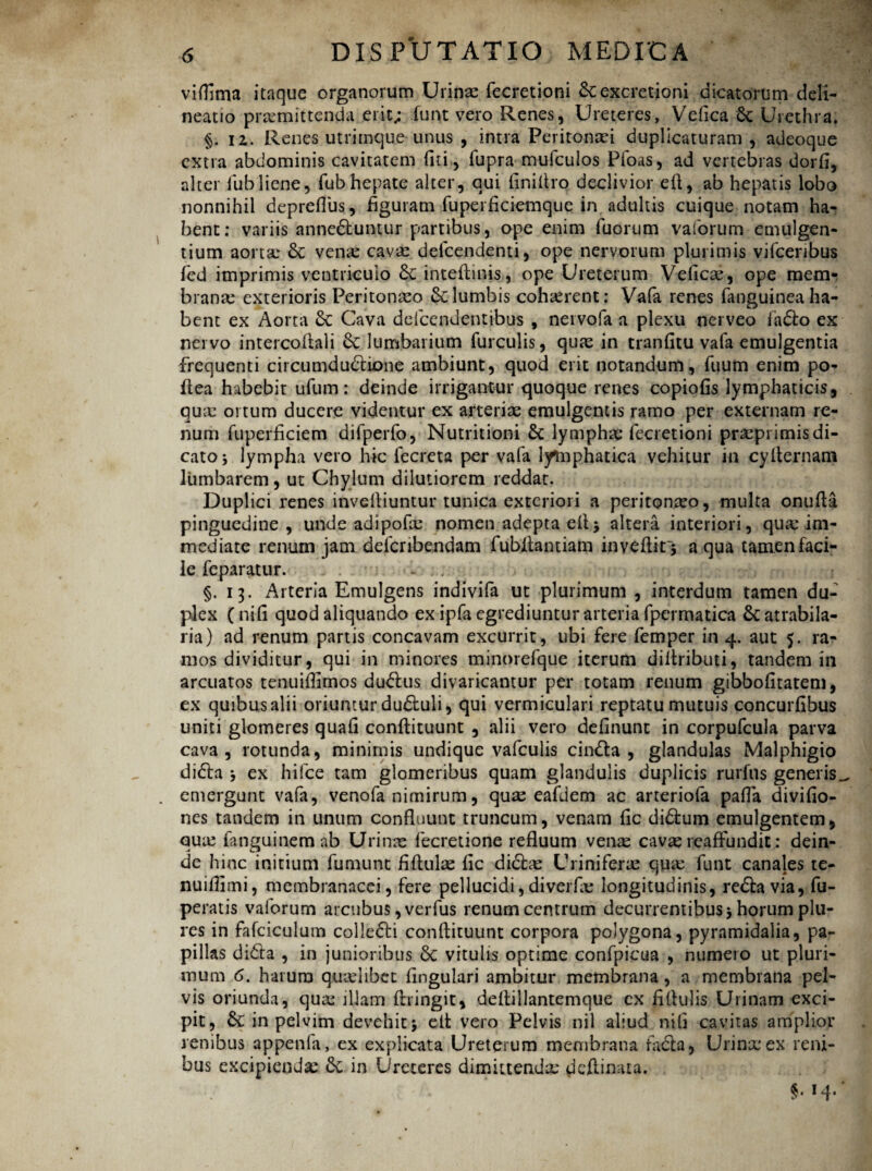 viflima itaque organorum Urinae fecretioni Scexcretioni dicatorum deli¬ neatio promittenda erit; funt vero Renes, Ureteres, Velica 6c Urethra. §. 11. Renes utrimque unus , intra Peritonaei duplicaturam , adeoque extra abdominis cavitatem fui, lupra mufculos Pioas, ad vertebras dorfl, alter iiibliene, fubhepate alter, qui liniltro declivior eft, ab hepatis lobo nonnihil depreflus, flguram fuperficiemque in adultis cuique notam ha¬ bent: variis anne&untur partibus, ope enim fuorum vaforum emulgen¬ tium aorta: &c vena: cava: defcendenti, ope nervorum plurimis vifcenbus fed imprimis ventriculo &: inteftinis, ope Ureterum Veficas, ope mem¬ branae exterioris Peritonaeo & lumbis cohaerent: Vafa renes fanguinea ha¬ bent ex Aorta 8c Cava ddcendentibus , nervofa a plexu nerveo badio ex nervo intercoftali lumbarium furculis, quae in tranlitu vafa emulgentia frequenti circumdublione ambiunt, quod erit notandum, fuum enim po- ftea habebit ufum: deinde irrigantur quoque renes copiolis lymphaticis, qua: ortum ducere videntur ex arteriae emulgentis ramo per externam re¬ num fuperficiem difperfo, Nutritioni £c lymphae fecretioni prseprimisdi- cato* lympha vero hic fecreta per vafa lymphatica vehitur in cyfternam lumbarem, ut Chylum dilutiorem reddat. Duplici renes invefliuntur tunica exteriori a peritonaeo, multa onufta pinguedine , unde adipolx nomen adepta eft* altera interiori, qua: im¬ mediate renum jam defcribendam fubllantiam inveftit* aqua tamen faci¬ le feparatur. , §.13. Arteria Emulgens indivifa ut plurimum , interdum tamen du¬ plex (nili quod aliquando ex ipfa egrediuntur arteria fpermatica Scatrabila- ria) ad renum partis concavam excurrit, ubi fere femper in 4. aut 5. ra¬ mos dividitur, qui in minores minorefque iterum diftributi, tandem in arcuatos tenuiflimos dubius divaricantur per totam renum gibbofitatem, ex quibus alii oriuntur dubluli, qui vermiculari reptatu mutuis concurfibus uniti glomeres quali conftituunt , alii vero delinunt in corpufcula parva cava, rotunda, minimis undique vafculis cinbla , glandulas Malphigio dibla , ex hifce tam glomeribus quam glandulis duplicis rurfns generis^ emergunt vafa, venofa nimirum, quas eafdem ac arteriofa palla divilio- nes tandem in unum confluunt truncum, venam fic diblum emulgentem, qua: fanguinem nb Urinas fecretione refluum verne cavas reaftundit: dein¬ de hinc initium fumunt Hilulae fic dicla: Uriniferas qua: funt canales te- nuillimi, membranacei, fere pellucidi, diverbe longitudinis, rebla via, fu- peratis vaforum arcubus ,verfus renum centrum decurrentibus * horum plu- res in fafciculum collebti conftituunt corpora polygona, pyramidalia, pa¬ pillas dibla , in junioribus 6c vitulis optime confpicua , numero ut pluri¬ mum 6. harum quidibet lingulari ambitur membrana, a membrana pel¬ vis oriunda, qua: illam ftringit, deftillantemque cx fiftulis Urinam exci¬ pit, 6c in pelvim devehit* eft vero Pelvis nil aliud nili cavitas amplior renibus appenfa, ex explicata Ureterum membrana fabta, Urinxex reni¬ bus excipiendas in Ureteres dimittenda: deftinata. §. 14.*