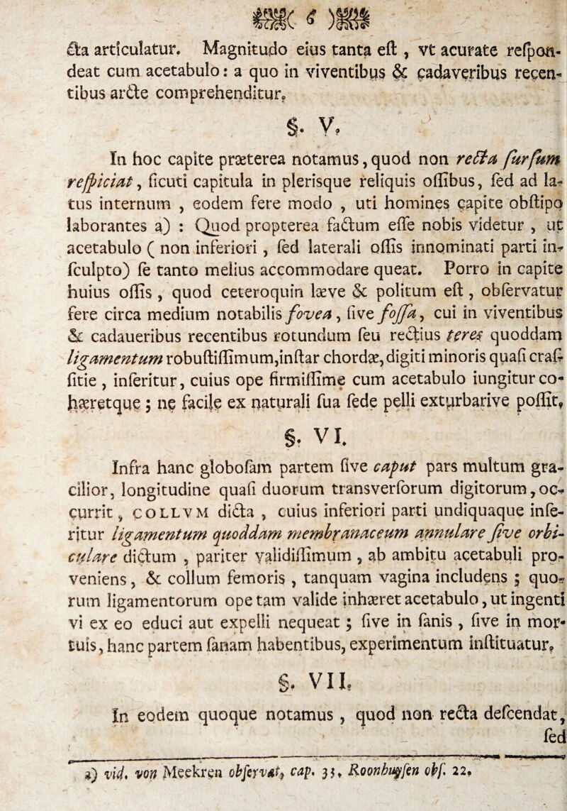 da articulatur. Magnitudo eius tanta eft , vt acurate relpoa- deat cum acetabulo: a quo in viventibus & cadaveribus recen¬ tibus arde comprehenditur. & V v' In hoc capite praeterea notamus, quod non reda furfum refficiat, ficuti capitula in plerisque reliquis offibus, led ad la¬ tus internum , eodem fere modo , uti homines capite obftipo laborantes a) : Quod propterea fadum effe nobis videtur , ut acetabulo ( non inferiori, led laterali offis innominati parti in- Iculpto) le tanto melius accommodare queat. Porro in capite huius offis , quod ceteroquin keve & politum eft , 1 ^ Ull fere circa medium notabilis fovea, live fojfa, cui in viventibus & cadaueribus recentibus rotundum feu rectius teres quoddam ligamentum robuftiffimum,inftar chordte,digiti minoris quali craff fitie , inleritur, cuius ope firmiffime cum acetabulo iungiturco- JiKretque; ne facile ex naturali fua fede pelli extprbarive poflit» §. VI. Infra hanc globofam partem five caput pars multum gra¬ cilior, longitudine quafi duorum transverlorum digitorum, oc¬ currit , collvm dida , cuius inferiori parti undiquaque infe- rjtur ligamentum quoddam membranaceum annulare Jive orbi¬ culare didum , pariter yalidiffimum , ab ambitu acetabuli pro¬ veniens , & collum femoris , tanquam vagina includens ; quo* rum ligamentorum ope tam valide inhteret acetabulo, ut ingenti vi ex eo educi aut expelli nequeat; five in fanis , five in mor¬ tuis, hanc partem fanam habentibus, experimentum inftituatur» \ *> t , • ■ V . • ■ J §. VII. i in eodem quoque notamus, quod non reda defcendat, ■ ' fed t , ■Sl ' Jjs