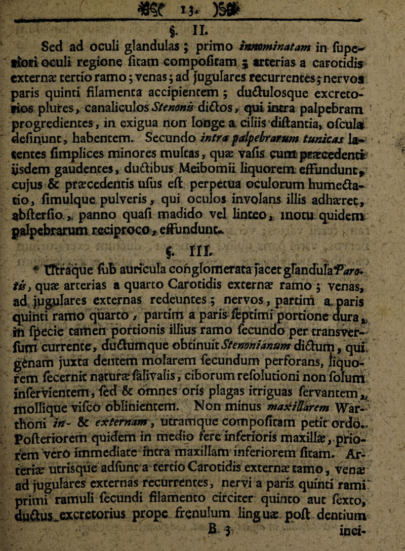 §. ii. ' ! Sed ad oculi glandulas ; primo innominatam in fupe- siori oculi regione ficam compofitam:; arterias a carotidis extern* tertio ramo; venas; ad jugulares recurrentes j nervos paris quinti filamenta accipientem ; du&ulosque excreto- fios plutes, canaliculos Stenom di&os, qui intra palpebram ' progredientes, in exigua non longe * ciliis‘diftantia, ofcular definunt, habentem. Secundo intra palpebrarum tunicas la¬ tentes fimplices minores multas, qua? vafis cum praecedenti iisdem gaudentes, dudibus Meibomii liquorem effundunt, cujus & praecedentis ufus eft perpetua oculorum liume&a- tio, fimulque pulveris, qui oculos involans illis adhaeret» abfterfio , panno quafi madido vel linteo, motu quidem palpebrarum, reciproco*, effindunt f. * Tftra<|ue fub auricula coiiglomeratafacetgrandufafiiw iis, quae arterias a quarto Carotidis externae ramo; venas, ad. jugulares externas redeuntes ; nervos, partitn a. paris quihti ramo quarto > partim a parisieptimi portione dura ^ in fpecie tamen portionis illius ramo fecundo per transver- fum currente, duftumque obtinuit Stermnianam di&um, qui! genam juxta dentem molarem fecundum perforans, liquo* rem fecernit naturae falivalis, ciborum refolutioni nonfolum infervientem, fed & omnes oris plagas irriguas fervantem „ litollique vifco oblinientem. Non minus maxillarem War^ thoni irt- te externam, utrathque compofitani petit ordo- Pofteriorem quidem in rtredio fere inferioris maxillae, prio- rem 'vero immediate intra maxillam inferiorem ficam. Ar¬ teria? utrisque adlunc a tertio Carotidis externae ramo, vena; ad jugulares externas recurrentes, nervi a paris quihti rami: primi ramuli fecundi filamento circiter quinto aut iexto, duitus.excretorius prope frenulum linguae poft dentium 'y' ' B ' inci-