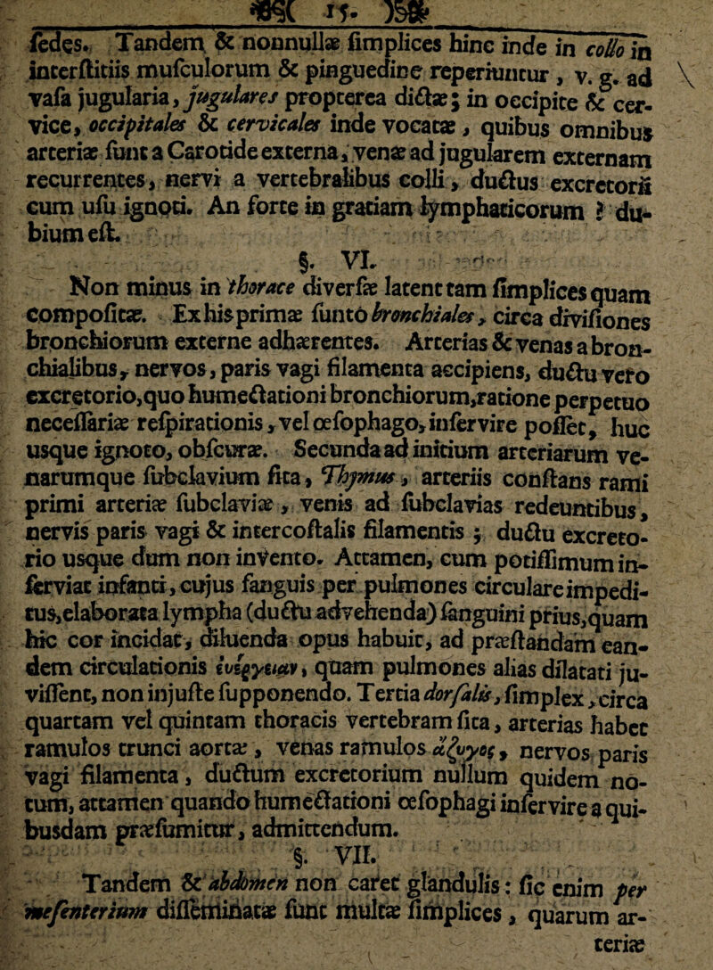 __ __m, n- wl_ fedes. Tandem, & nonnullas fimplices hinc inde in cotioTa interftitiis mufculorum & pinguedine reperhincur, v. g. ad vafa jugularia, jugulares propter ea diflse; in occipite & cer¬ vice, occipitales & cervicales inde vocatas, quibus omnibus arterias fbnt a Carotide externa, venae ad jugularem sternam recurrentes, nervi a vertebralibus colli, duplus excretorii cum ufu ignoti. An forte in gratiam lymphaticorum ? du¬ bium eft. - f. VI- —— Non minus in thorace diverfae latent tam fimplices quam compofitas. Ex his prima; funtobronchiales, circa divifiones bronchiorum externe adhaerentes. Arterias & venas a bron¬ chialibus, nervos, paris vagi filamenta accipiens, du£hi veto excretorio,quo humeff ationi bronchiorum,ratione perpetuo neceflariae refpirationis , vel oefophago, infer vire poflet, huc usque ignoto, obfcurae. Secunda ad initium arteriarum ve¬ narumque fubclavium fica, Thymus, arteriis conflans rami primi arterias fubclavias , venis ad fubclavias redeuntibus, nervis paris vagi & intercoftalis filamentis $ du£lu excreto¬ rio usque dum non invento. Attamen, cum potiffimum in- ferviae infanti, cujus fanguis perLpultnones circulareimpedi- tus,elaborata lympha (du&u advehenda) fanguini prius,quam hic cor incidat, diluenda opus habuic, ad prasftafidam ean¬ dem circulationis ivigyuuv, quam pulmones alias dilatati ju- viflent, non injufle fupponenao. T ertia dor falis, fimplex, circa quartam vel quintam thoracis vertebram fita, arterias habet ramulos trunci aorta;, venas ramulos dfyyes, nervos paris vagi filamenta, duflum excretorium nullum quidem no¬ tum, attamen quando hum effationi cefophagi infervirea qui¬ busdam prasfumitur, admittendum. . ’ §• 'VII.: ' Tandem. tetiSmeu non caret glandulis: fip enim per mefenterium difleminatas fune multas fimplices, quarum ar¬ teria;