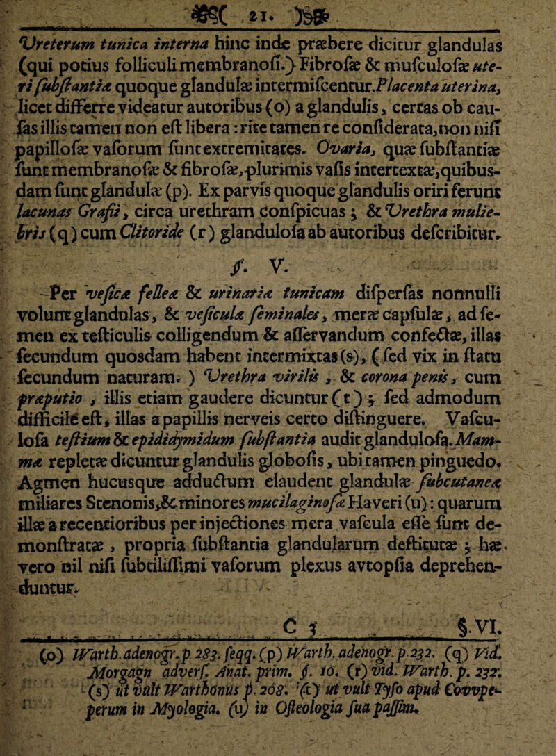 ai *Ureterum tunica interna hinc inde praebere dicitur glandulas (qui potius folliculi membrano!!.} Fibrofe & mufeulofae «te¬ ri (ubfiantia quoque glandulae intermifcencur.P/^c^/^ uterina, licet differre videatur autoribus(o) a glandulis, certas ob cau- fas illis tamen non eft libera: rite tamen re confiderata,non nifi papillofe vaforum funt extremitates. Ovaria, qua? fubftantiae fune membranofe & fibrofe,pIurimis vafis intertextae, quibus¬ dam funt glandulae (p). Ex parvis quoque glandulis oriri ferunt lacunas Grafii, circa urethram confpicuas ; kVrethra mulie¬ bris (q) cum Clitoride (r) glandulofaabautoribus defcribicur. /. V. / Per ve fica fellea & urinaria tunicam difperfas nonnulli volunt glandulas, & ve ficula feminales, merae capfulae, ad fe¬ men extefticulis colligendum & aflefvandum confe&ae, illas fecundum quosdam habent intermixtas(s), (fed vix in flatu fecundum naturam. ) Vrethra virilis , & corona fenis, cum praputio , illis etiam gaudere dicuntur (c) \ fed admodum difficile eft, illas a papillis nerveis certo diftinguere* Vafcu- lofa tefiium & epididymidum fubftantia audit glandulofa.M*;#- ma repletae dicuntur glandulis globofis, ubi tamen pinguedo. Agmen hucusque adduftum claudent glandula fubcutanea miliares Stenonis>& minores mucilagimfa Haveri (u): quarum illaearecencioribus per injectiones mera vafcula efle funt de- monftratae, propria fubftantia glandularum deftitutae ^ hte. vero nil nifi fubtiliffimi vaforum plexus avtopfia deprehen¬ duntur. V' 4 N* v J. . nn i, -7 aj au; '-'—-ti■■ •• ----- ■ j--—- -^-‘^i (p) JVartbadenogr.p 283, feqq. fp) l^artbMenogtp.232, (q) yid Morgagn 'adverf. An at. prim. §, id\ (r) vid, JVartb. p. 232 (s) ut vult Wartboms p, 268. 'ft> ut vult Tyfo apud Covvpe* perum in Myohgia. (u) in Ofteologia fua fajfmu ■■