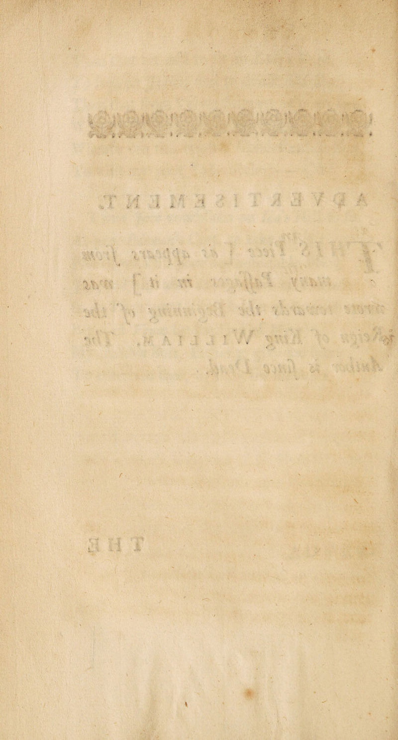 <■ « .*«# X -V . * » v '* :• N - : ^ ■/ , ^ . K. * \A. i ItViH V '* - ' 7 '. , ■ ' ? I ’■ \ T '' l. ■ \