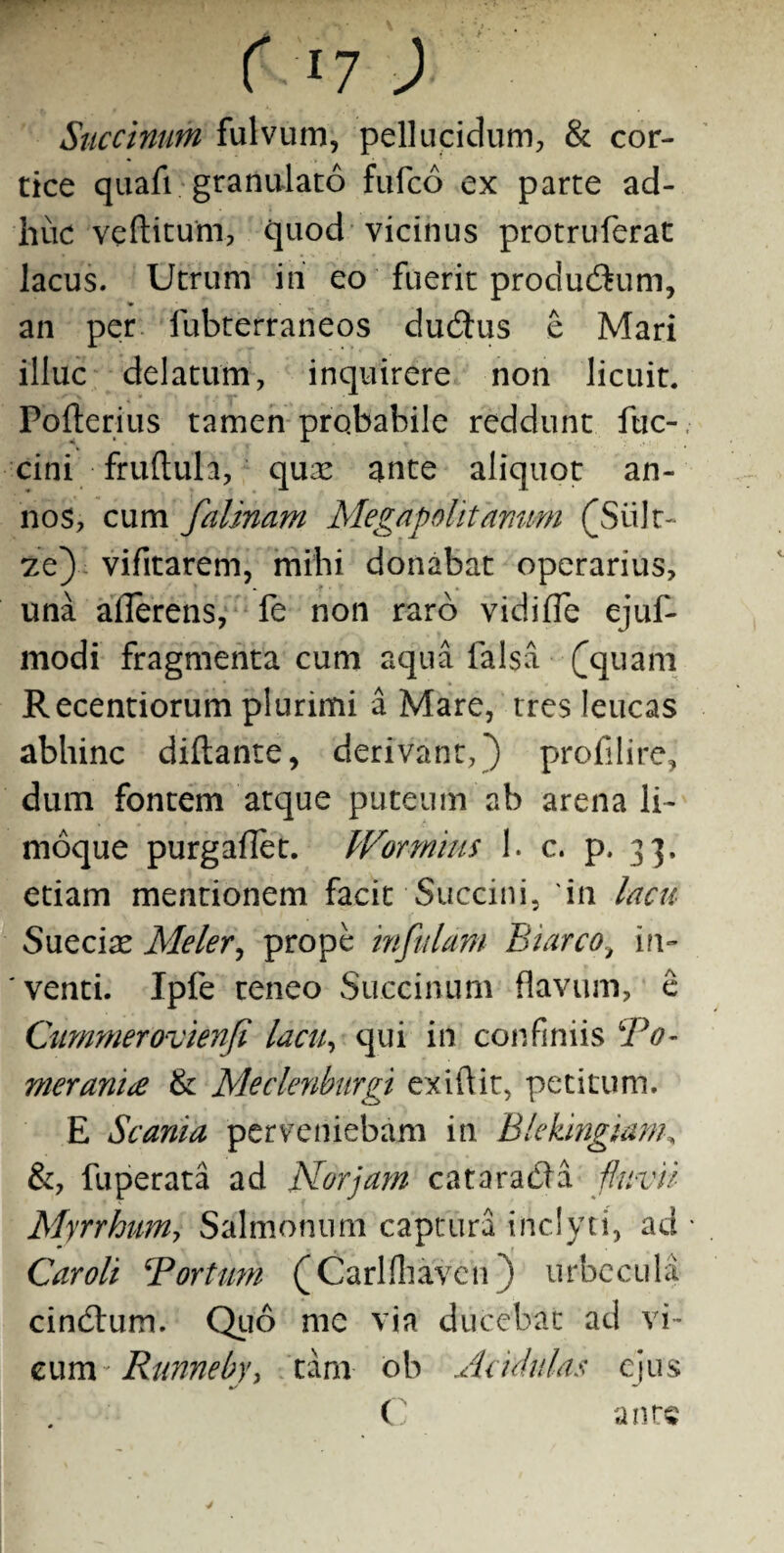 t >7 ) Succinum fulvum, pellucidum, & cor¬ tice quafi granulato fufco ex parte ad¬ huc veftitum, quod vicinus protruferat lacus. Utrum ini eo fuerit produdum, * an per fubterraneos dudus e Mari illuc delatum, inquirere non licuit. Pofterius tamen probabile reddunt fuc-, cini fruftula, quse ante aliquot an¬ nos, cum falinam Megapolitamim (Suit- ze) vifitarem, mihi donabat operarius, una aflerens, fe non raro vidifTe ejuf- modi fragmenta cum aqua lalsa fquam Recentiorum plurimi a Mare, tres leucas abhinc diftante, derivant,*) profilirej dum fontem atque puteum ab arena li¬ moque purgaflet. Wormius 1. c. p. 33. etiam mentionem facit Succini, in lacu Sueciae Meler, prope infulam Biarco, in- 'venti. Ipfe teneo Succinum flavum, e Cummerovienfi lacu, qui in confiniis ‘To- meram£ & Meclenburgi exiftit, petitum. E Scania perveniebam in Blekingiam, &, fuperata ad Nor jam catarada fluvii MyrrhuMi Salmonum captura inclyti, ad Car oli ‘Portum (Carlfliaven) urbecula cindum. Quo me via ducebat ad vi- eum - Runneby, tam ob Acidulas ejus C ante