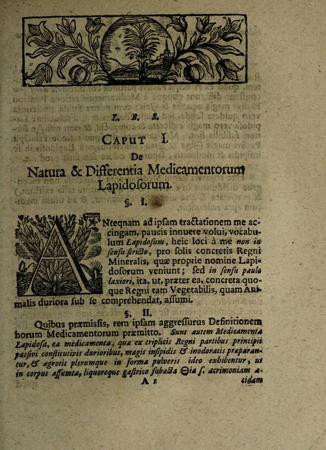 digitised image 3