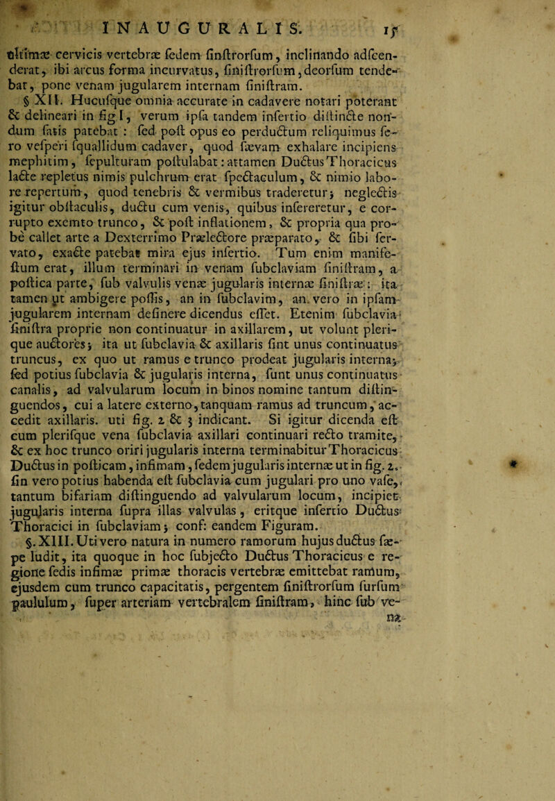 r-v- tAffontt' cervicis vertebrae fedem fin-ftrorfum, inclinando adfeen- derat, ibi arcus forma incurvatus, finiftrorfum,deorfum tende-* bar, pone venam jugularem internam finiftram. § XII. Hu cuique omnia accurate in cadavere notari poterant & delineari in figi, verum ipfa tandem infertio di it indle non¬ dum fatis patebat : (ed- poit opus eo perductum reliquimus fe¬ ro vefperi fquallidum cadaver, quod fievam exhalare incipiens mephitim, fepulturam pollulabat: attamen DudtusThoracicus la£te repletus nimis pulchrum erat fpedtaculum, nimio labo¬ re repertum, quod tenebris & vermibus traderetur $ negiedtis igitur obftaculis, dudtu cum venis, quibus infereretur, e cor¬ rupto exemto trunco, & poit inflationem, & propria qua pro¬ be callet arte a Dexterrimo Prseledtore praeparato , fibi fer- vatOy exadte patebat mira ejus infertio. Tum enim manife- ftum erat, illum terminari in venam fubclaviam finiftram, a poftica parte, fub valvulis venae jugularis internae finiftraM ita tamen ut ambigere pofiis, an in fubclavim, an vero in ipfan> jugularem internam definere dicendus eflet. Etenim fubclavia flniftra proprie non continuatur in axillarem, ut volunt pleri— que audloresj ita ut fubclavia 6c axillaris fint unus continuatus truncus, ex quo ut ramus e trunco prodeat jugularis interna^ fed potius fubclavia 8c jugularis interna, funt unus continuatus canalis , ad valvularum locum in binos nomine tantum diftin- guendos, cui a latere externo,tanquam ramus ad truncum, ac¬ cedit axillaris, uti fig. z 8c $ indicant. Si igitur dicenda efl cum plerifque vena fubclavia axillari continuari redlo tramite, &: ex hoc trunco oriri jugularis interna terminabiturThoracicusr Dudtus in pofticam, infimam, fedem jugularis internae ut in fig. zs. fin vero potius habenda eft fubclavia cum jugulari pro uno vafe,* tantum bifariam diftinguendo ad valvularum locum, incipiet jugujaris interna fupra illas valvulas, eritque infertio Dudfcus? Thoracici in fubclaviam y conf: eandem Figuram. §. XIII. Uti vero natura in numero ramorum hujus dudtus fas-- pe ludit, ita quoque in hoc fubjedto Dudbus Thoracicus e re-- gione fedis infimas primse thoracis vertebrae emittebat ramum, ejusdem cum trunco capacitatis, pergentem finiftrorfum fur funi paululum, fuper arteriam vertebralem finiftram, hinc fub ve- ; ■ m *