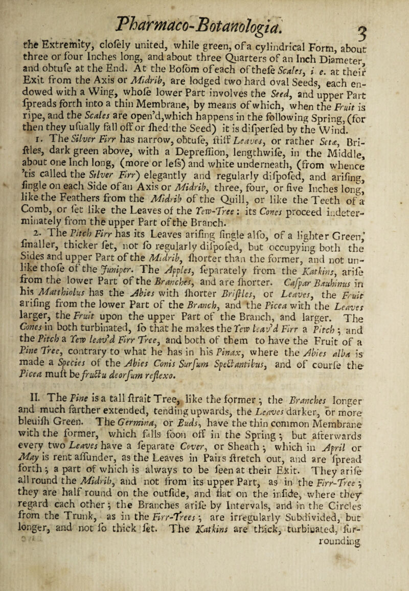 the Extremity, clofely united, while green, of a cylindrical Form, about three or four Inches long, and about three Quarters of an Inch Diameter and obtufe at the End. At the Bofom of each of thefe Scales, i e. at the!? Exit from the Axis or Midrib, are lodged two hard oval Seeds, each en¬ dowed with a Wing, whole lower Part involves the Seed, and upper Part fpreads forth into a thin Membrane, by means of which, when the Fruit is ripe, and the Scales are open’d,which happens in the following Spring, (for then they ufually fall off or ihed the Seed) it is difperfed by the Wind. r. The Silver Firr has narrow, obtufe, ff iff Leaves, or rather Seta, Bri¬ bes, dark green above, with a Depreflion, lengthwile, in the Middle, about one Inch long, (more or lefs) and white underneath, (from whence ’tis called the Stiver Firr') elegantly and regularly dilpofed, and arifing, fingle on each Side of an Axis or Midrib, three, four, or five Inches long* like the Feathers from the Midrib of the Quill, or like the Teeth of a Comb, or let like the Leaves of the Few-Free: its Coties proceed indeter¬ minately from the upper Part of the Branch. 2. The Pitch Firr has its Leaves arifing Tingle alfo, of a lighter Green, fmaller, thicker let, not lo regularly dilpofed, but occupying both the Sides and upper Part of the Midrib, fhorter than the former, and not un¬ like thole of the Juniper. The Apples, feparately from the Katkins, arile from the lower Part of the Branches, and are fhorter. Cafpar Bauhinus in his Matthiolus has the Abies with Ihorter Brifiles, or Leaves, the Fruit arifing from the lower Part of the Branch, and the Vice a with the Leaves larger, the Fruit upon the upper Part of the Branch, and larger. The Cones in both turbinated, fo that he makes the Tew leav’d Firr a Pitch ; and the Pitch a Tew leav’d Firr Free, and both of them to have the Fruit of a Pine Free, contrary to what he has in his Pin ax, where the Abies alba is made a Species of the Abies Conis Surfum Sp eft anti bus, and of courfe the Pice a muff b efruttu deorfum refiexo. II. The Fine is a tall ftrait Tree, like the former \ the Branches longer and much farther extended, tending upwards, the Leaves darker, or more bleuifh Green. The Germina, or Buds, have the thin common Membrane with the former, which falls foon off in the Spring } but afterwards every two Leaves have a feparate Cover, or Sheath *, which in April or May is rent affunder, as the Leaves in Pairs ftretch out, and are fpread forth j a part of which is always to be feen at their Exit. They arile all round the Midrib, and not from its upper Part, as in the Firr-Free } they are half round on the outfide, and flat on the infide, where they regard each other; the Branches arile by Intervals, and in the Circles from the Trunk, as in the Firr-Free s *, are irregularly Subdivided, but longer, and not lb thick let. The Katkins are thick, turbinated, lhr- rounding