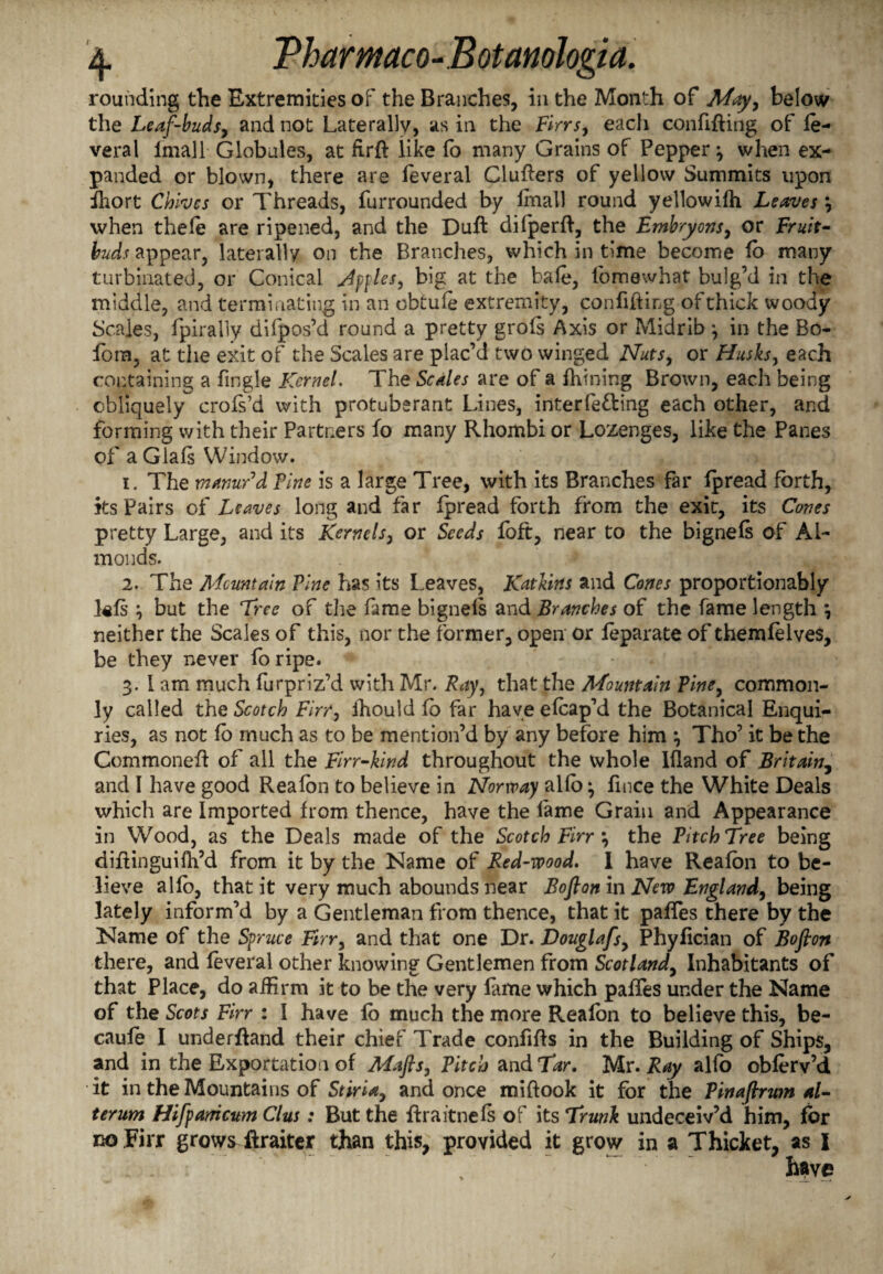 rounding the Extremities of the Branches, in the Month of May, below the Leaf-buds, and not Laterally, as in the Firrs, each confining of fe- veral fmall Globules, at firft like lo many Grains of Pepper j when ex¬ panded or blown, there are feveral Clutters of yellow Summits upon fhort Chives or Threads, furrounded by Imall round yellowifh Leaves \ when thefe are ripened, and the Duft dilpertt, the Embryons, or Fruit- buds appear, laterally on the Branches, which in time become fo many turbinated, or Conical Jpfles, big at the bale, lbmewhat bulg’d in the middle, and terminating in an obtufe extremity, confiding of thick woody Scales, fpiraliy difpos’d round a pretty grofs Axis or Midrib in the Bo- fora, at the exit of the Scales are plac’d two winged Nuts, or Hush, each containing a Jingle Kernel. The Scales are of a fhining Brown, each being obliquely crofs’d with protuberant Lines, interfering each other, and forming with their Partners fo many Rhombi or Lozenges, like the Panes of a Giafs Window. 1. The manur'd Vine is a large Tree, with its Branches far fpread forth, its Pairs of Leaves long and far fpread forth from the exic, its Cones pretty Large, and its Kernels, or Seeds foft, near to the bignefs of Al¬ monds. 2. The Mountain Vine has its Leaves, Katlins and Cones proportionably l«fs but the Tree of the fame bigneis and Branches of the fame length , neither the Scales of this, nor the former, open or feparate of themfelves, be they never fo ripe. 3. I am much furpriz’d with Mr. Ray, that the ATountain Pine, common¬ ly called the Scotch Firr, ihould fb far have efcap’d the Botanical Enqui¬ ries, as not fb much as to be mention’d by any before him \ Tho’ it be the Commonett of all the Firr-hnd throughout the whole Ifland of Britain, and I have good Reafbn to believe in Norway alfo ^ fince the White Deals which are Imported from thence, have the fame Grain and Appearance in Wood, as the Deals made of the Scotch Firr the Pitch Tree being dittinguiih’d from it by the Name of Red-mod. I have Reafbn to be¬ lieve alfb, that it very much abounds near Bofion in New England, being lately inform’d by a Gentleman from thence, that it paffes there by the Name of the Spruce Firr, and that one Dr. Douglafs, Phyfician of Bofion there, and feveral other knowing Gentlemen from Scotland, Inhabitants of that Place, do affirm it to be the very fame which paffes under the Name of the Scots Firr : I have fb much the more Realon to believe this, be- caufe I underttand their chief Trade confitts in the Building of Ships, and in the Exportation of Mafts, Pitch zndTar. Mr. Ray alfo obferv’d it in the Mountains of Stiria, and once miftook it for the Pinafirwn al¬ ter um Hifpamcum Clus: But the ttraitnefs of its Trunk undeceiv’d him, for no Firr grows ilraiter than this, provided it grow in a Thicket, as I