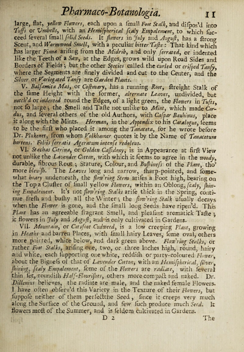 large, flat, yellow Flowers, each upon a fmall Foot Stalk, and dilpos’d into 'tuffs or Vmbells, with an Hemifpherical fcaly Empdemerit, to which fuc- ceed feveral fmall [olid Seeds. It flowers in July and Auguft, has a ftrong Scent, and Wormwood Smell, with a peculiar bitter Tafle : That kind which has larger Pinna arifing from the Midrib, and only ferrated, or indented like the Teeth of a Saw, at the Edges, grows wild upon Road Sides and Borders of Fields *, but the other Species called the curled or crifpcd tanfy, where the Segments are finely divided and cut to the Center, and the Silver or V*negated Tanfy are Garden Plants. V. Balfamita Mas, or Coflmary, has a running Root, (freight Stalk of the fame Height with the former, alternate Leaves, undivided, but notch'd or indented round the Edges, of a light green, the Flowers in Tufts, not fo large the Smell and Tafle notunlike to Mint, which made CV- dus, and feveral others of the old Authors, with Cafpar Bauhinus, place it along with the Mints. Herman, in the Appendix to his Catalogue, leems to be the firfl who placed it among the Tanaceta, for he wrote before Dr. Plukenet, from whom F'olkhamer quotes it by the Name of Tanacetum hortens. Foliis ferratis Ageratum intenfe redoleus. VI. Stachas Citrina, or Golden Cafidony, is in Appearance at firfl View not unlike the Lavender Cotton, with which it feems to agree in the woody, durable, fibrous Root *, Stature, Colour, and Bufinnefs of the Plant, tho’ more blewjh. The Leaves long and narrow, (harp-pointed, and (bme- what hoary underneath, the flowering Stem arifes a Foot high, bearing on the Top a duller of fmall yellow Flowers, within an Oblong, fcaly, finn¬ ing Empalement. It’s not flow'ring Stalks arife thick in the Spring, conti¬ nue frefli and bufhy all the Winter *, the flow'ring Stalk ufually decays when the Flower is gone, and the fmall long Seeds have ripen’d. This Plant has an agreeable fragrant Smell, and pleafant aromatick Tafle *, it flowers in July and Augufl, and is only cultivated in Gardens. VII. Mountain, or Cats foot Cudweed, is a low creeping Plant, growing in Heaths and barren Places, with fmall hairy Leaves, fome oval, others more pointed, white below, and dark green above. Flow'ring Stalks, or rather Foot Stalks, arifing one, two, or three Inches high, round, hairy and white, each Supporting one white, reddifh or party-coloured Flower, about the Bignefs of that of Lavender Cotton, with an Hemifpherical, fliver, finning, fcaly Empalement, feme of the Flowers are radiate, with feveral thin fet, roundiih Hdf-Flourifhes, others more compaft and naked. Dr. Dillenius believes, the radiate are male, and the naked female Flowers. I have often obferv’d this Variety in the Texture of their Flowers, but fuppoie neither of them perfeclthe Seed , fince it creeps very much along the Surface of the Ground, and few fuch produce much Seed. It flowers mofl of the Summer, and is feldom cultivated in Gardens.