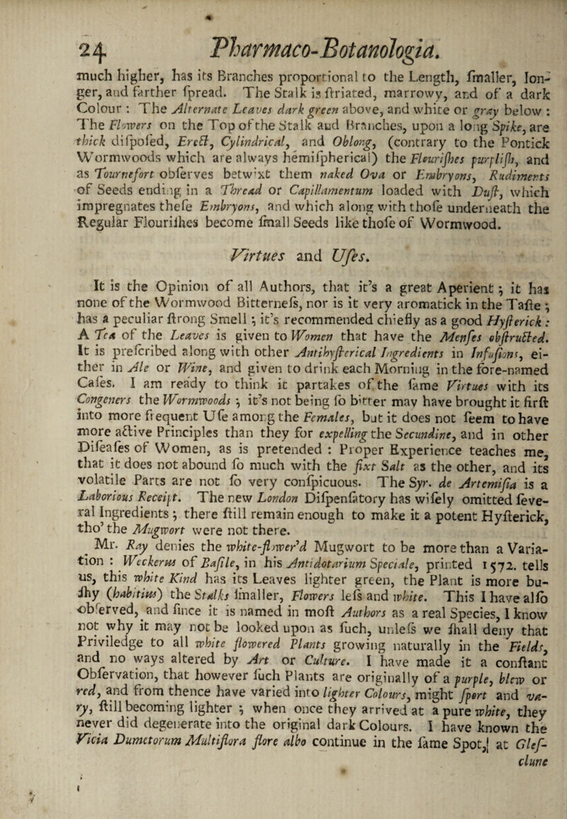 much higher, has its Branches proportional to the Length, fmaller, lon¬ ger, and farther fpread. The Stalk is ffriated, marrowy, and of a dark Colour : The Alternate Leaves dark green above, and white or gray below : The Flowers on the Top of the Stalk and Branches, upon a long Spike, are thick difpofed, Frctt, Cylindrical, and Oblong, (contrary to the Pontick Wormwoods which are always hemifphericai) the Fhurijhes purfltjh, and as Tourmfort obferves betw’xt them naked Ova or Embryons, Rudiments of Seeds ending in a Thread or Capillamentum loaded with Dufi, which impregnates thefe Embryons, and which along with thole underneath the Regular Flourilhes become final! Seeds like thofe of Wormwood. Virtues and Ufes. It is the Opinion of all Authors, that it’s a great Aperient} it has none of the Wormwood Bitternefs, nor is it very aromatick in the Tafte \ has a peculiar ftrong Smell *, it’s recommended chiefly as a good Hyfterick : A Tea of the Leaves is given to Women that have the Menfes obftrufted. It is preferibed along with other Antihyfieri cal Ingredients in tnfufion r, ei¬ ther in Ale or Wtne, and given to drink each Morning in the fore-named Cafes. I am ready to think it partakes of the fame Virtues with its Congeners the Wormwoods *, it’s not being fo better mav have brought it firft into more frequent Ufe among the Females, but it does not feem to have more attive Principles than they for expelling the Secundine, and in other Difeafes of Women, as is pretended : Proper Experience teaches me, that it does not abound fo much with the fixt Salt as the other, and its volatile Parts are not fo very confpicuous. The Syr. de Artemifia is a Laborious Receipt. The new London Dilpenflitory has wdely omitted feve- ral Ingredients , there ftill remain enough to make it a potent Hyfterick, tho’ the Mugwort were not there. Mr. Ray denies the white-flwer’d Mugwort to be more than a Varia¬ tion : Weekerw of Bafile, in his Antidotarium Spec/ale, printed 1572. tells us, this white Kind has its Leaves lighter green, the Plant is more bu- ihy (habitins') the Stalks imaller, Flowers lefs and white. This Ihavealfo obrerved, and fince it is named in moft Authors as a real Species, I know not why it may not be looked upon as fech, unlefs we fhall deny that Priviledge to all white flowered Plants growing naturally in the Fields, and no ways altered by Art or Culture. I have made it a conftant Obfervation, that howevei luch Plants are originally of a purple, blew or red, and fiorn thence have varied into lighter Colours, might fpert and va¬ ry, fiill becoming lighter ; when once they arrived at a pure white, they never did degenerate into the original dark Colours. I have known the Vicia Dumetorum Multifiora fiore albo continue in the lame Spot,} at Clef- dune
