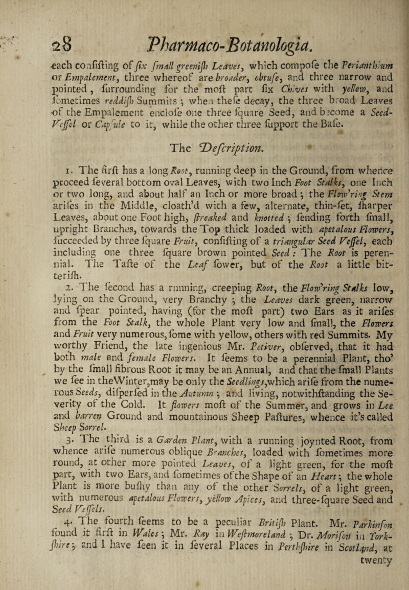 •each confifting of fix fm all green ijh Leaves, which compofe the Ferianthlum or Empdement, three whereof are broader, obtufe, and three narrow and pointed, furrounding for the moil: part fix Chives with yellow, and iometimes reddljh Summits *, when thefe decay, the three broad Leaves of the Empalement enclole one three iquare Seed, and become a Seed- Refill or Capfiule to it, while the other three fupport the Bale. The ^Defcrifition. 1. The firft has a long Root, running deep in the Ground, from whence proceed feveral bottom oval Leaves, with two Inch Foot Stalks, one Inch or two long, and about half an Inch or more broad *, the Flowering Stem arifes in the Middle, cloath’d with a few, alternate, thin-let, /harper Leaves, about one Foot high, fireaked and knotted \ fending forth finall, upright Branches, towards the Top thick loaded with apetalous Flowers, succeeded by three fquare Fruit, confifting of a triangular Seed V'effel, each including one three fquare brown pointed Seed : The Root is peren¬ nial. The Tafte of the Leaf fower, but of the Root a little bit- terifh. 2. The fecond has a running, creeping Root, the Flowering Stalks low, lying on the Ground, very Branchy *, the Leaves dark green, narrow and fpear pointed, having (for the moft part) two Ears as it arifes from the Foot Stalk, the whole Plant very low and final), the Flowers and Fruit very numerous, fome with yellow, others with red Summits. My worthy Friend, the late ingenious Mr. Fctiver, oblerved, that it had both male and female Flowers. It feems to be a perennial Plant, tho’ by the finall fibrous Root it may be an Annual, and that the fmall Plants we fee in theWinter,may be only the Seedlings,which arile from the nume¬ rous Seeds, difperfed in the Autumn \ and living, notwithftanding the Se¬ verity of the Cold. It flowers moft of the Summer, and grows in Lee and barren Ground and mountainous Sheep Paftures, whence it’s called Sheep Sorrel• 3. 1 he third is a Garden Plant, with a running joynted Root, from whence arife numerous oblique Branches, loaded with fometimes more round, at other more pointed Leaves, of a light green, for the moft part, with two Ears, and fometimes of the Shape of an Hearty the whole Plant is more bufhy than any of the other Sorrels, of a light green, with numerous apetalous Flowers, yellow Apices, and three-fquare Seed and Seed lre(fels. 4. The^ fourth feems to be a peculiar Britijh Plant. Mr. Farkinfon found it firft in Wales ; Mr. Ray in Wefimoreland Dr. Morifcn in fork- far*? snd 1 have feen it in feveral Places in Ferthfhire in 'Scotland, at twenty