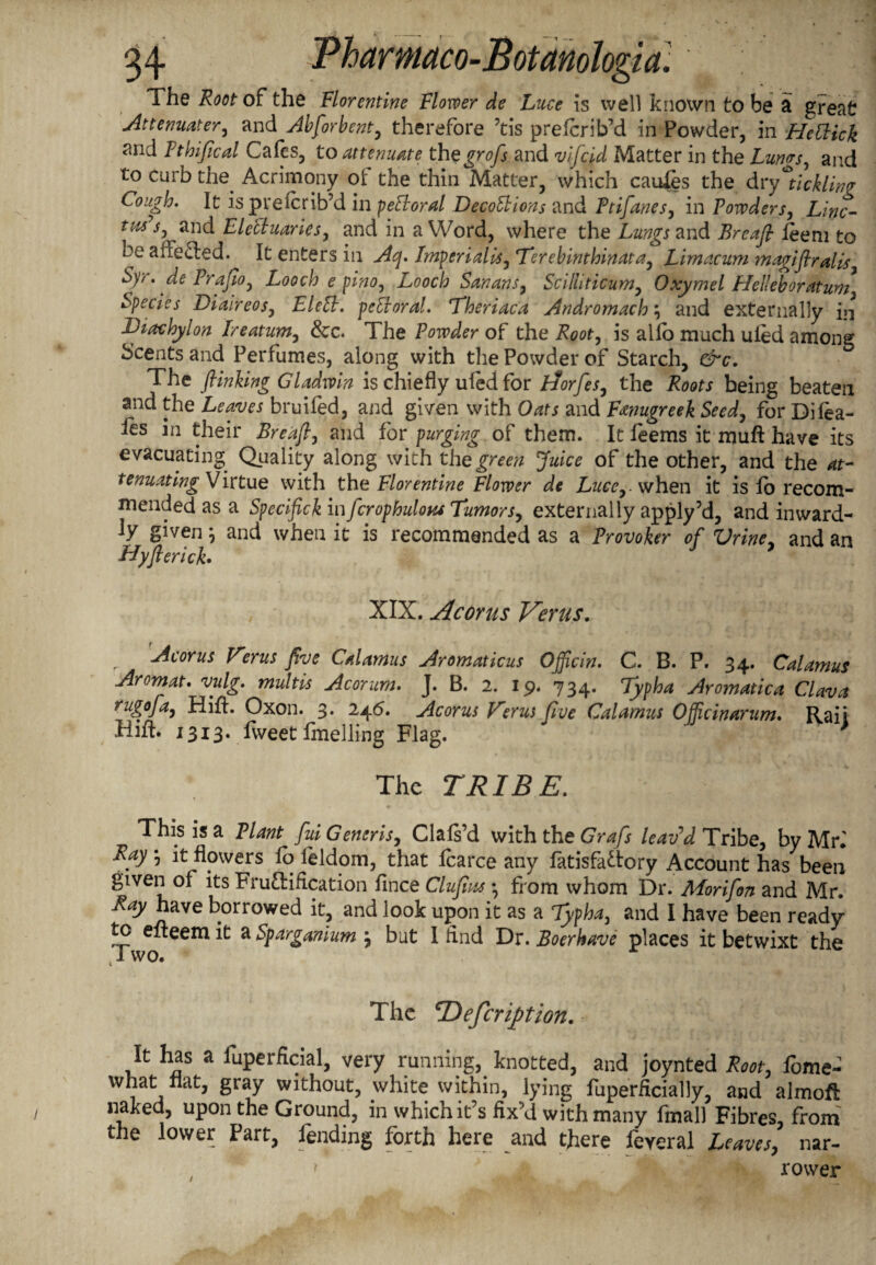 The Root of the Florentine Flovoer de Luce is well known to be a great Attenuater, and Abforbent, therefore ’tis prefcrib’d in Powder, in Hettick ?md Pthifical Cafes, to attenuate thegrofs and vifcid Matter in the hums, and to curb the. Acrimony ol the thin Matter, which caufes the dry^tickling Cough. It ispreicrib’d in pettoral DecoFbions and Ftifanes, in Powders, Line- tm’s, and Electuaries, and in a Word, where the and Breafl leem to be aheCted. It enters in Acp. Imperialism Terebinthinata, Limacum magiflralis Syr. de Prafio, Looch e pino, Looch Sanans, Scilliticum, Oxymel Helleboratum, Species Diaireos, EleSt. pebtoral. Theriaca Andromache and externally in Diachylon Ireatum, &c. The Powder of the Root, is alio much uled among Scents and Perfumes, along with the Powder of Starch, &c. The Jlinking Gladwin is chiefly ufed for Aorfes, the Roots being beateii and the Leaves bruifed, and given with Oats and Fenugreek Seed, for Dilea- ies in their Breafl, and for purging of them. It leems it muft have its evacuating Quality along with the green Juice of the other, and the at¬ tenuating Virtue with the Florentine Flower de Lucewhen it is fo recom¬ mended as a Specifick in fcrophulons Tumors, externally apply 5d, and inward¬ ly given m and when it is recommended as a Provoker of Vrine, and an Hyfterich XIX. Acorns Verns. Acorus V?rus five Calamus Aromaticus Ojficin. C. B. P. 34. Calamus Aromat. vulg. multis Acorum. J. B. 2. 19. 734. Typha Aromatica Clava rugofa, Hifh Oxon. 3. 246. Acorus Veras five Calamus Officinarum. Raii Hift. 1313. fweet fuelling Flag. * The TRIBE. This is a Plant fui Generis, Clals’d with the Grafs leav'd Tribe, by Mr.' Ray •, it flowers lo feldom, that fcarce any fatisfa&ory Account has been given of its Fructification fince Clufias •, from whom Dr. Morifon and Mr. Ray have borrowed it, and look upon it as a lypha, and I have been ready tc elteem it a Sparganium j but I find Dr. Boerhave places it betwixt the Two. The Defer iff ion. It has a fuperficial, very running, knotted, and joynted Root, Some¬ what flat, gray without, white within, lying fuperficially, and almoft naked, upon the Ground, in which it’s fix’d with many final) Fibres, from the lower Part, fending forth here and there feveral Leaves, nar- > rower