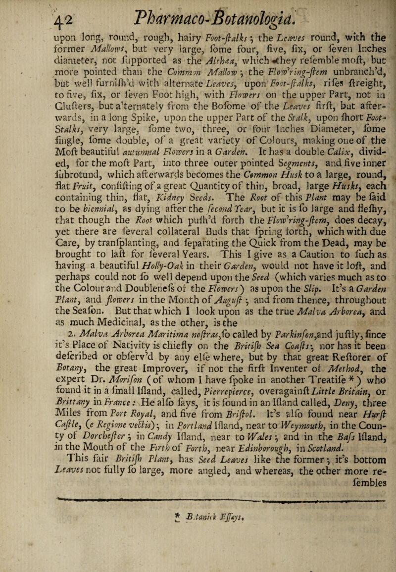 upon long, round, rough, hairy Foot-Jlalks, the Leaves round, with the former Mallow*, but very large, fome four, five, fix, or leven Inches diameter, not fupported as the Althaay which «they relemble moft, but more pointed than the Common Mallow \ the Flovfring-ftem unbranch’d, but well furnifts’d with alternate Leaves, upon Foot-(lalksy riles ftreight, to five, fix, or leven Foot high, with Flowers on the upper Part, not in Clufters, but a’temately from the Bolome of the Leaves firft, but after¬ wards, in a long Spike, upon the upper Part of the Stalk, upon Ihort Foot- Stalks, very large, lome two, three, or four Inches Diameter, lome fingle, fome double, of a great variety of Colours, making one of the Moft beautiful autumnal Flowers in a Garden, It has a double Calix, divid¬ ed, for the moft Part, into three outer pointed Segments, and five inner fubrotund, which afterwards becomes the Common Husk to a large, round, flat Fruit, confifling of a great Quantity of thin, broad, large Husks, each containing thin, flat. Kidney Seeds. The Foot of this Plant may be laid to be biennial, as dying after the fecond Tear, but it is fo large and flelhy, that though the Root which pulh’d forth the Flovfring-flcm, does decay, yet there are feverai collateral Buds that Ipring forth, which with due Care, by tranlplanting, and feparating the Quick from the Dead, may be brought to lafl: for feverai Years. This I give as a Caution to fuch as having a beautiful Holly-Oak in their Garden, would not have it loft, and perhaps could not lo well depend upon the Seed (which varies much as to the Colour and Doublenels or the Flowers) as upon the Slip. It’s a Garden Plant, and flowers in the Month of Augujl ^ and from thence, throughout the Sealbn. But that which I look upon as the true Malva Arborea, and as much Medicinal, as the other, is the 2. Malva Arborea Maritima no fir as jb called by Parkin fony and juftly, fince it’s Place of Nativity is chiefly on the Britijh Sea Coafis\ nor has it been delcribed or oblerv’d by any elfe where, but by that great Reftorer of Botany, the great Improver, if not the firft Inventer of Method, the expert Dr. Morifon (of whom I have fpoke in another Treadle * ) who found it in a fmall Illand, called, Pierrepierce, overagainft Little Britain, or Brittany in France: He alio lays, it is found in an Illand called, Deny, three Miles from Port Royal, and five from Brifiol. It’s alio found near Hurjl Caflle, (<? Regione vetlis)• in Portland Illand, near to Weymouth} in the Coun¬ ty of Dorchefter \ in Candy Illand, near to Wales *, and in the Bafs Illand, in the Mouth of the Firth ol Forth, near Edinboroughy m Scotland. 'I his fair Britijh Plant, has Seed Leaves like the former *, it’s bottom Leaves not fully lo large, more angled, and whereas, the other more re- fembles ^ n II ,1 m I—1| ■ ■■■m - - . , I- - __ ^ _ * B.tanick PJpijs.