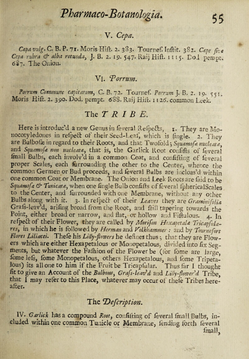 V. Cepa. Capavulg* C. B. P. 71. Moris Hift. 2. 383. Tournefi Infti’t. 382. Cape fhe Cepa rubra & alba rotunda, J. B. 2. 19. 547. Raij Hift. 1 11 5. Doi peropt* <5$ 7. The Onion. V{. Tor rum. PorrumCommune capitation, C. B. 72. Tournef Porrum J. B. 2. 19. 5^. Moris Hift. 2. 390. Dod. pempt. 608. Raij Hift. 1126. common Leek. ’ The TRIBE. Here is introduc’d a new Genus in federal Refpe&s, 1. They are Mo-* nocotyledones in refpefr of their Seed-Leaf, which is fingle. 2. They are Buibofe in regard to their Roots, and that Twofold j Squamofa nucleate, and Squamofa non nucleate, that is, the Garlick Root confifts of feveral imall Bulbs, each involv’d in a common Coat, and confifting of feveral proper Scales, each furrounding the other to the Center, whence the common Germen or Bud proceeds, and feveral Bulbs are incloas’d within one common Coat or Membrane. The Onion and Leek Roots are find to be Squamofa & Tunicata, when one fingle Bulb confifts of feveral fphericalScales to the Center, and furrounded with one Membrane, without any other Bulbs along with it. 3. In refpe£r of their Leaves they are GramimfolU Grafs-leav’d, arifing broad from the Root, and ftill tapering towards the Point, either broad or narrow, and flat, or hollow and Fiftuious. 4. hi refpeft of their Flower, they are called by Morifon Hexapetala Tricapfda- res, in which he is followed by Herman and V'olkhammer : and by Tournefort Bores Liliacei. Thefe his Lilly-flowers he defines thus ^ that they are Flow¬ ers which are either Hexapetalous or Monopetalous, divided into fix Seg¬ ments, but whatever the Fafhion of the Flower be (for fome are large, fome left, fome Monopetalous, others Hexapetalous, and fome Tripeta- ious) its all one to him if the Fruit be Tricapfular. Thus far I thought fit to give an Account of the Bulbous, Grafs-leav'd and Lilly-flower'd Tribe, that I may refer to this Place, whatever may occur of thele Tribes here¬ after. The 'Defcription. IV. Garlick has a compound Root, confifting of feveral fmall Bulbs, in¬ cluded within one common Tunicle or Membrane, fending forth feveral final!,