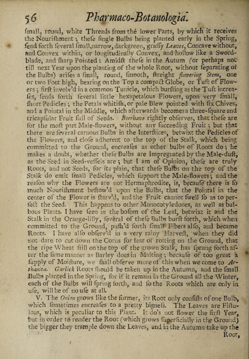 fmall, round, white Threads from the lower Parts, by which it receives the Nourifhment *, thefe Angle Bulbs being planted early in the Spring, fend forth feveral fmall,narrow, darkgreen, gralfy Leaves, Concave without, and Convex within, or longitudinally Convex, and hollow like a Sword- blade, and fharp Pointed : Amidft thefe in the Autum (or perhaps not till next Year upon the planting of the whole Root, without feparating of the Bulbs) arifes a fmall, round, finooth, freight flowering Stem, one or two Foot high, bearing on the Top a compaT Globe, or Tuft of Flow¬ ers \ flrfl: involv’d in a common Tunicle, which burning as the Tuft increa¬ ses, fends forth ieverai little hexapetalous Flowers, upon very fmall, ihort Pedicles } the Petals whitifh,or pale Blew pointed with fix Chives, and a Pointal in the Middle, which afterwards becomes a three-fquare and tricapfular Fruit full of Seeds. Boerhave rightly obferves, that thefe are for the moft part Male-Bowers, without any fucceeding Fruit *, but that there are feveral carnous Bulbs in the Interfaces, betwixt the Pedicles of the Flowers, and dole adherent to the top of the Stalk, which being committed to the Ground, encreafes as other bulbs of Roots do \ he makes a doubt, whether thefe Bulbs are Impregnated by the Male-duft, as the Seed in Seed-veffeis are *, but I am of Opinion, thefe are truly Roots, and not Seeds, for its plain, that thefe Bulbs on the top of the Stalk do emit fmall Pedicles, which fupport the Male-flowers*, and the reafon why the Flowers are not Hermaphrodite, is, becaufe there is fo much Nouriihment beftow’d upon the Bulbs, that the Pointal in the center of the Flower is ftarv’d, and the Fruit cannot (well lb as to per¬ fect the Seed. This happens to other Monocotyledones, as well as bul¬ bous Plants. I have feen in the bofom of the Leaf, betwixt it and the Stalk in the Orange-lilly, feveral of thefe Bulbs burfl: forth, which when committed to the Ground, pnfil’d forth fmall1 Fibers alfb, and became Roots. I have alfo obferv’d in a very rainy Harveft, when they did not dare to cut down the Corns for fear of rotting on the Ground, that the ripe Wheat ft ill on the top of the grown Stalk, has fprung forth af¬ ter the fame manner as Barley does in Malting *, becaufe of too great a fupply of Moifture, we fhall obferve more of this when we come to Ar- thanita. Garlick Roots fliould be taken up in the Autumn, and the fmall •Bulbs planted in the Spring, for if it remain in the Ground all the Winter, each of the Bulbs will fpring forth, and fothe Roots which are only in ule, will be of noufe at all. V. The Onion grows like the former, its Root only confifts of one Bulb, which fometimes encreafes to a pretty bignefs. The Leaves are Fiftu- Jous, which is peculiar to this Plant. It do’s not flower the lirA Year, but in order to render the Pvoot (which grows fuperftcially in the Ground) the bigger they trample down the Leaves, arid in the Autumn take up the 7 . ’ Root,