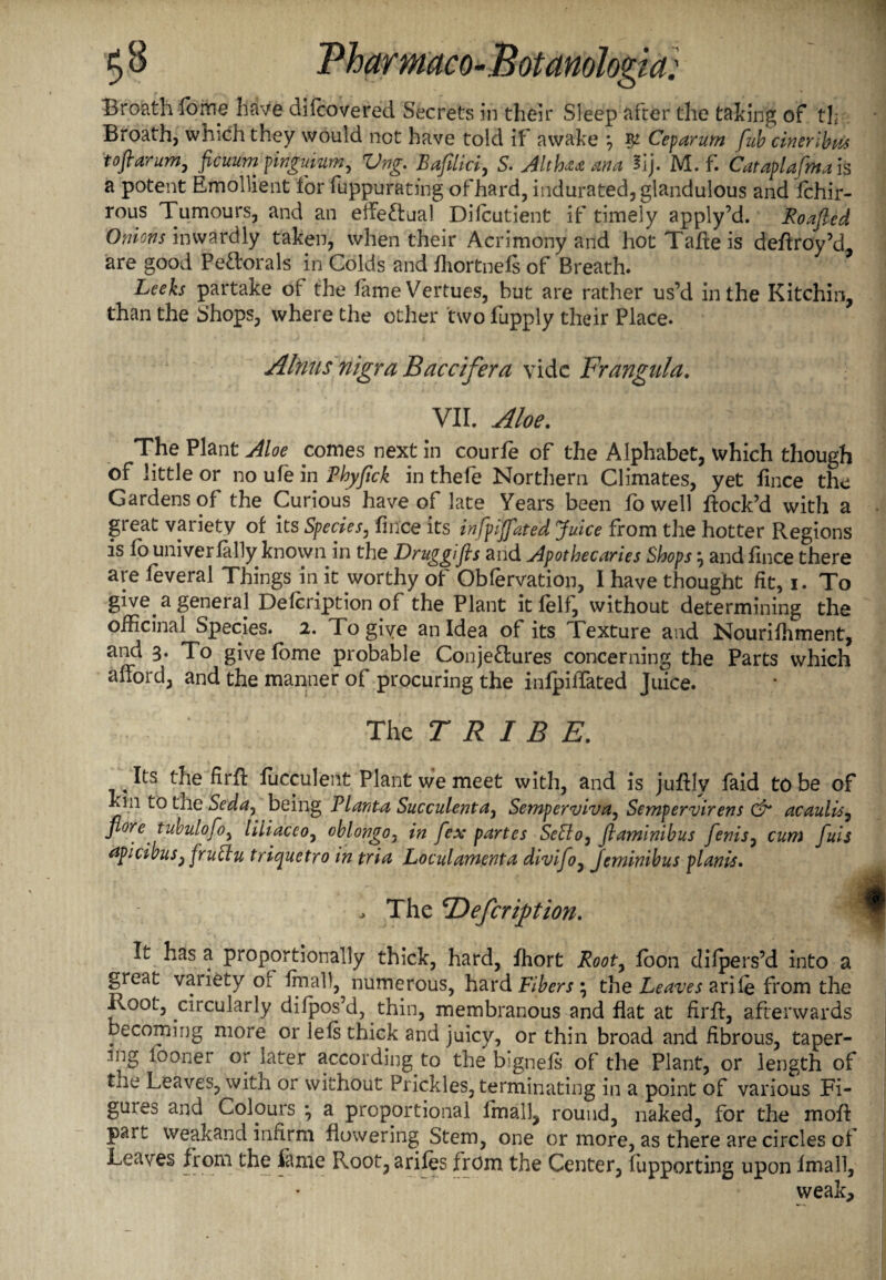 Broath forne have difcovered Secrets in their Sleep after the taking of tl; Broath, which they would not have told if awake *7 5^ Ceparurn fub cineribm tofiarum, ficuum pinguium, Vng. Bafilici, S. Althaama *ij. M. f. Cataplafma is a potent Emollient for fuppuratsng of hard, indurated, glandulous and fchir- rous Tumours, and an effectual Difcutient if timely apply’d. JRoafted Onions inwardly taken, when their Acrimony and hotTafteis deftroy’d, are good PeCtorals in Colds and fhortnefi of Breath. Leeks partake of the fame Vertues, but are rather us’d in the Kitchin, than the Shops, where the other two fupply their Place. Aims nigra Baccifera vide Frangula. VII. Aloe. The Plant Aloe comes next in courfe of the Alphabet, which though of little or no ufe in Thyfick in thele Northern Climates, yet fince the Gardens of the Curious have of late Years been fo well flock’d with a great variety of its Species, fince its infpiffated Juice from the hotter Regions is fo univer felly known in the Druggijts and Apothecaries Shopsy and fince there are feveral Things in it worthy of Obfervation, I have thought fit, 1. To give a general Defcription of the Plant it felft without determining the officinal Species. 2. To give an Idea of its Texture and Nourifhment, and 3. To give lome probable Conjectures concerning the Parts which afford, and the manner of procuring the infpiffated Juice. The TRIBE. ^ Its the firft fucculent Plant we meet with, and is juftly faid to be of km to the Seda, being PI anta Succulent ay Semperviva^ Semper virens & acaulis, flore' tubulofoy liiiaccoy oblongo, in fex partes SeSloy flaminibus fenisy cum fuis apicibus, fructu triquetro in tria Loculamenta divifoy jeminibus plants. * The Tdefcription. It has a proportionally thick, hard, fhort Rooty fbon clifpers’d into a great variety of final!, numerous, hard Fibers \ the Leaves a rife from the Root, circularly difpos’d, thin, membranous and flat at firft, afterwards becoming more or lefs thick and juicy, or thin broad and fibrous, taper- 3nS l00ner later according to the bignefs of the Plant, or length of tile Leaves, with or without Prickles, terminating in a point of various Fi¬ gures and Colours y a proportional fmall, round, naked, for the moft part weakand infirm flowering Stem, one or more, as there are circles of Leaves from the feme Root, arifes from the Center, fupporting upon fmall, weak*