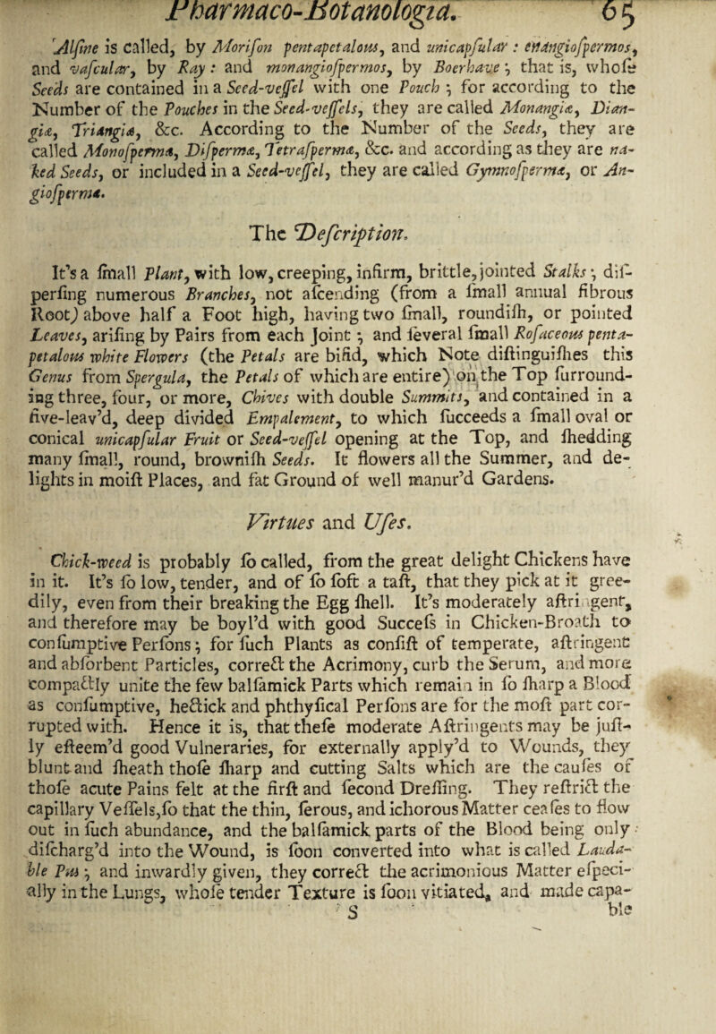 Alfine is called, by Mori fan fentapctalous, and uni capful ay : enangiofpermos, and vafcular, by •* and monangiofpermos, by Boerhave that is, whole Seeds are contained in a Sced-veffel with one Vouch \ for according to the Number of the Pouches in the Seed-vejfels, they are called MonangU, Dian- gU, Triarrgia, &c. According to the Number of the Seeds, they are called Monofpermtt, Difperma, Tetrafperma, &c. and according as they are na¬ ked Seeds, or included in a Seed-vejfel, they are called Gymnofperma, or An- giofperma. The 'Defeviction. It’s a fmall Plant, with low, creeping, infirm, brittle, jointed Stalks \ dii- perling numerous Branches, not afeending (from a fmall annual fibrous Root) above half a Foot high, having two fmall, roundifh, or pointed Leaves, arifing by Pairs from each joint *, and ieveral fmall Rofaceous penta- pet alow white Flowers (the Petals are bifid, which Note diftinguifhes this Genus from Spergula, the Petals of which are entire) on the Top furround¬ ing three, four, or more, Chives with double Summits, and contained in a flve-leav’d, deep divided EmpaUment, to which lucceeds a fmall oval or conical unicapfular Fruit or Seed-veffel opening at the Top, and fhedding many fmall, round, brovvnifh Seeds. It flowers all the Summer, and de¬ lights in moift Places, and fat Ground of well manur’d Gardens. Virtues and Ufes. « Chick-weed is probably fb called, from the great delight Chickens have in it It’s fo low, tender, and of fb foft a taft, that they pick at it gree¬ dily, even from their breaking the Egg fhell. It’s moderately aftri gent, and therefore may be boyl’d with good Succefs in Chicken-Bro?th to confumptive Perfbns j for fuch Plants as confift of temperate, aftringenfi and abfbrbent Particles, correct the Acrimony, curb the Serum, and more compatfly unite the few balfamick Parts which remain in fb fharp a Blood as confumptive, hefbick and phthyfical Perfbns are for the moft part cor¬ rupted with. Hence it is, thatthefe moderate Aftringents may be juft- ly efleem’d good Vulneraries, for externally apply’d to Wounds, they blunt and fheath thofe fharp and cutting Salts which are the caufes of thofe acute Pains felt at the firft and fecond Drefling. They reftrift the capillary Veffels,fo that the thin, ferous, and ichorous Matter ceafes to flow out in fuch abundance, and the balfamick parts of the Blood being only • difeharg’d into the Wound, is fbon converted into what is called Lauda¬ ble Pw * and inwardly given, they correct the acrimonious Matter especi¬ ally in the Lungs, whole tender Texture is fbon vitiated, and made capa-