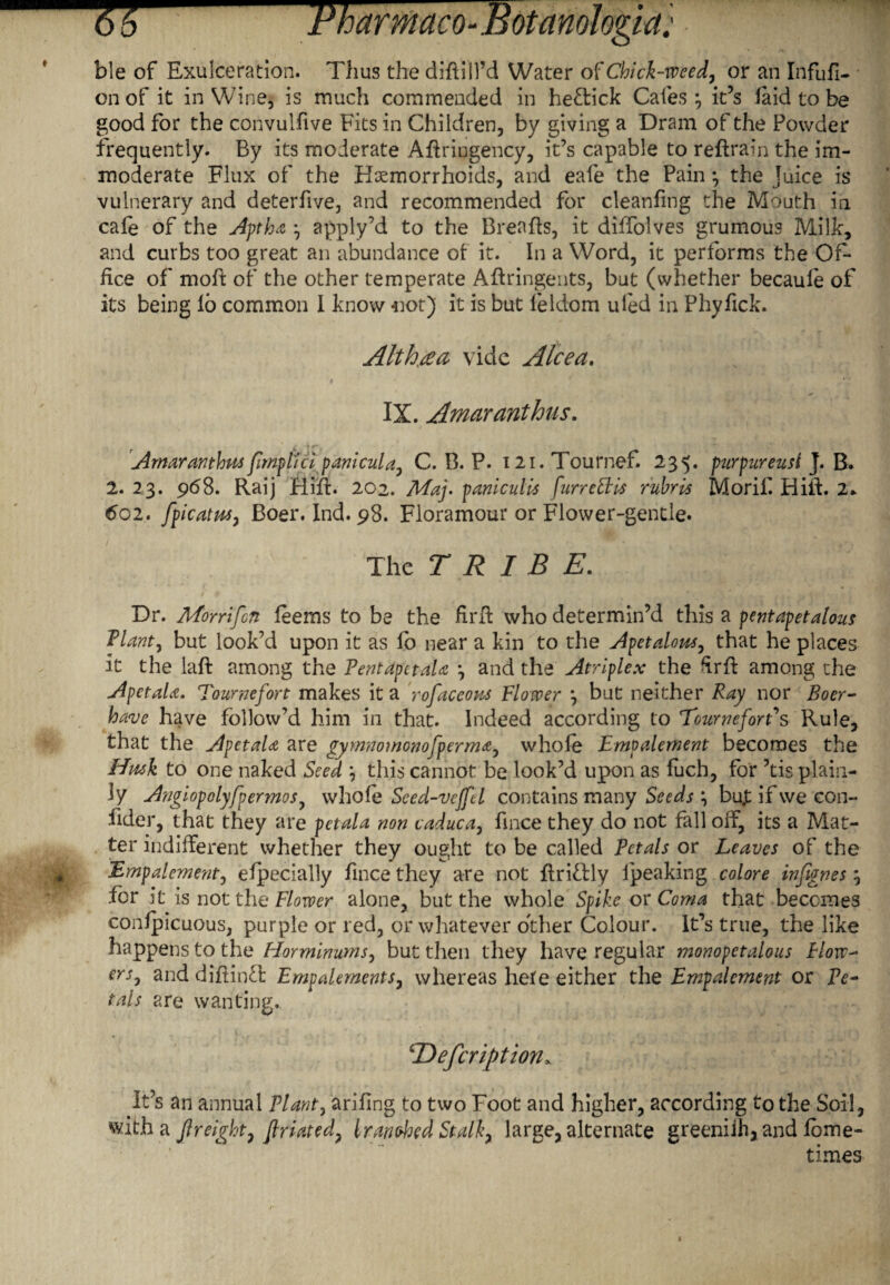 ble of Exulceration. Thus the diftilfd Water of Chick-weed, or an Infufi- on of it in Wine, is much commended in heftick Cafes; it’s laid to be good for the convulfive Fits in Children, by giving a Dram of the Powder frequently. By its moderate Aftriugency, it’s capable to reftrain the im¬ moderate Flux of the Haemorrhoids, and eafe the Pain ; the Juice is vulnerary and deterfive, and recommended for cleanfing the Mouth in cafe of the Aft ha ; apply’d to the Brenfts, it diffolves grumous Milk, and curbs too great an abundance of it. In a Word, it performs the Of¬ fice of moft of the other temperate Aftringents, but (whether becaule of its being lo common I know -not) it is but leldom uled in Phyfick. Althea vide Alcea. IX. Amaranthus. , ♦ <r- _ Amaranthus pmpltci panicula, C. B. P. 121. Tournef. 235. purpureust J. B. 2. 23. 968. Raij irlift. 202. May paniculis furreSHs ruhris Morif Hilt. 2. 602. fpicatus, Boer. Ind. 98. Floramour or Flower-gentle. > A ■«<r; cDefcription* It’s an annual Plant, arifing to two Foot and higher, according to the Soil, with a jlreight, flriated, branched Stalk, large, alternate greeniih, and lome- times The TRIBE. / ♦ \ ^ > V. g t • ZS 1V-' ' , f i Dr. Morrifcn leems to be the firft who determin’d this a pentapetalous Plant, but look’d upon it as lo near a kin to the Apetalous, that he places it the iaft among the Pent apt tala ; and the Atriplex the firft among the Apetala. Tournefort makes it a rofaceous Flower ; but neither Ray nor Boer- have have follow’d him in that. Indeed according to Tournefort's Rule, that the Apetala are gymnomonofperma, whole Empalement becomes the Husk to one naked Seed ; this cannot be look’d upon as luch, for ’tis plain¬ ly Angiopolyfpermos, whole Seed-veffel contains many Seeds ; bu.t if we con- fider, that they are pctala non caduca, fince they do not fall off, its a Mat¬ ter indifferent whether they ought to be called Petals or Leaves of the 'Empalement, elpecially fince they are not ftribtly lpeaking colore infignes; for it is not the Flower alone, but the whole Spike or Coma that becomes confpicuous, purple or red, or whatever other Colour. It’s true, the like happens to the Horminums, but then they have regular monopetalous Flow¬ ers, anddiftiiffl Empalements, whereas hete either the Empalement or Pe¬ tals are wanting.