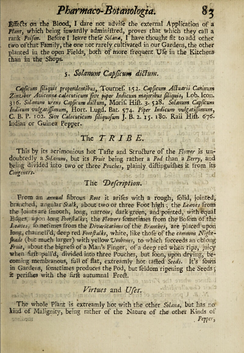 Effefts on the Blood, I dare not advife the external Application of a plant, which being inwardly adminiltred, proves that which they call a rank Poifion. Before I leave thele Solan*, I have thought fit to add other two of that Family, the one not rarely cultivated in our Gardens, the other planted in the open Fields, both Of more frequent Ufe in the Kitchens than in the Shops. 5 . Solamnt Capfieum diBirn. Capfieum filiquis propendentibus, Tournef 152. Capfieum AEluarii Canlnum Zingiber Avicenna calecuticum five piper Indicum majoribus filiquis, Lob. Icon. 316. Solarium wens Capfieum diffum, MoriC Hift. 3. 528. Solanum Capfieum Indicum vulgatijfimum, Hort. Lugd. Bat. 574. Piper Indicum- vulgatijfimum, C. B. P. 102. Sive Calecuticum filiquofum J. B. 2. ij. 180. Raii Hift. 676. Indian or Guinea Pepper. The TRIE E. This by its acrimonious hot Tafte and Structure of the Flower Is un¬ doubtedly a Solarium, but its Fruit being rather a Pod than a Berry, and being divided into two or three Pouches, plainly diftinguifhes it from its Congeners• The ‘Defcription. From an annual fibrous Root it arifes with a rough, lolid, jointed, branched, angular Stalk, about two or three Foot high the Leaves from the Joints are lmooth, long, narrow, dark green, and pointed, with equal Edges upon -long Footftalks *, the Flowers fometihies from the Bofom of the Leaves,■ Ibmetimes from the Divarications of the Branches, are placed upon long, channel I’d-, deep red Footfialks, white, like thofe of the common Night- Jhade (but much larger) with yellow Vmbones, to which lueceeds an oblong Fruit, about the bignels of a Man’s Finger, of a deep red when ripe, juicy when firft pull’d, divided into three Pouches, but loon, upon drying, be¬ coming membranous, full of flat, extreamly hot tafted Seeds. It’s ibwn in Gardens, fometimes produces the Pod, but feldom ripening the Seeds*, it perifoes with the firh autumnal Frofh Virtues and Ufes. * * 1 The whole Plant is extreamly hot with the other Solana, but has no kind of Malignity, being rather of the Nature of the other Kinds of - ’ .Npper,