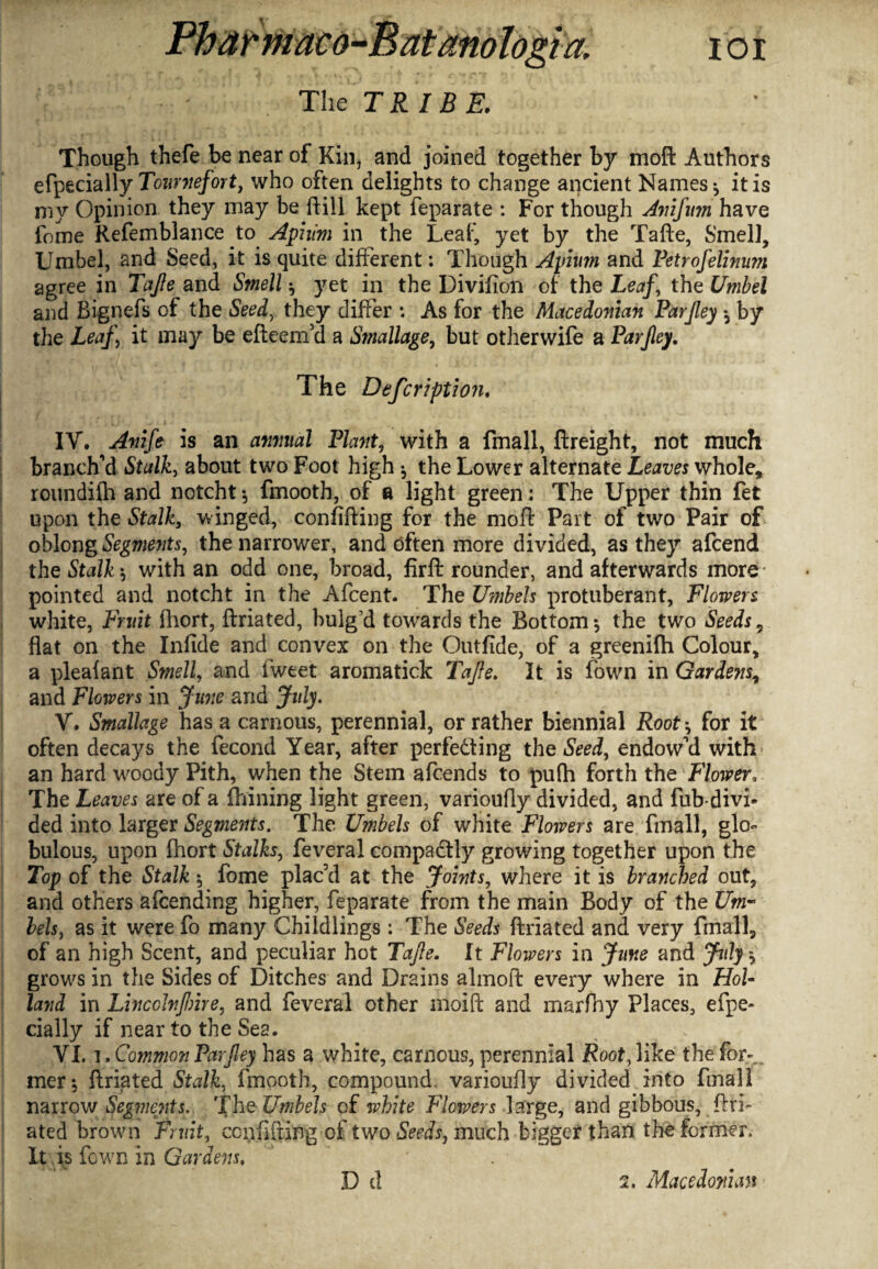 The TRIBE. Though thefe be near of Kin, and joined together by moft Authors efpecially Tournefort, who often delights to change ancient Names ^ it is niy Opinion they may be ftill kept feparate : For though Anifum have feme Refemblance to Apiiim in the Leaf, yet by the Tafte, Smell, Umbel, and Seed, it is quite different: Though Apium and Petrofelinum agree in TaJIe and Smell * yet in the Divifion of the Leafthe Umbel and Bignefs of the Seed, they differ *. As for the Macedonian Parjley •, by the Leaf it may be efteeiffd a Smallage, but otherwife a Parjley. The Defcription. IV. Anife is an annual Plant, with a fmall, {freight, not much branch’d Stalk, about two Foot high •, the Lower alternate Leaves whole, roundilh and notcht*, fmooth, of a light green : The Upper thin fet upon the Stalk, winged, confifting for the mofl: Part of two Pair of oblong Segments, the narrower, and often more divided, as they afeend the Stalk ^ with an odd one, broad, firffc rounder, and afterwards more pointed and notcht in the Afcent. The Umbels protuberant, Flowers white, Fruit ihort, ftriated, bulg'd towards the Bottom*, the two Seeds9 flat on the Infide and convex on the Outfide, of a greenifli Colour, a plealant Smell, and fweet aromatick Tafte. It is fown in Gardens, and Flowers in June and July. V. Smallage has a carnous, perennial, or rather biennial Root ^ for it often decays the fecond Year, after -perfecting the Seed, endow’d with an hard woody Pith, when the Stem afeends to pufh forth the Flower The Leaves are of a (billing light green, varioufly divided, and Tub-divi¬ ded into larger Segments. The Umbels of white Flowers are fmall, glo- bulous, upon fhort Stalks, feveral compadtly growing together upon the Top of the Stalk 5 fome plac’d at the Joints, where it is branched out, and others afeending higher, feparate from the main Body of the Um¬ bels, as it were fo many Childlings: The Seeds ftriated and very fmall, of an high Scent, and peculiar hot Tafte. It Flowers in June and July $ grows in the Sides of Ditches and Drains almoft every where in Hol¬ land in LinccJnftme, and feveral other moift and marfny Places, efpe¬ cially if near to the Sea. VLi . Common Parjley has a white, carnous, perennial Soot, like the for-., mer*, ftriated Stalk, fmooth, compound, varioufly divided into fmall narrow Segments. The- Umbels of white Flowers large, and gibbous, ftri¬ ated brown Fruit, confifting of two Seeds, much bigger than the former. It is fown in Gardens. D cl 2. Macedonian