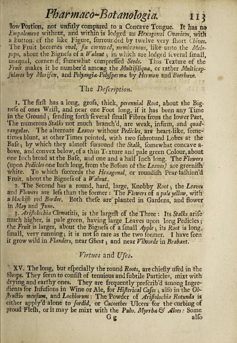 low Portion, not unfitly compared to a Concave Tongue. It has no Empalement without, and within is lodged an Hexagonal Gvarhmi, with a button: cf the like Figure, furrounded by twelve very fhort Chives. The Fruit becomes oval, fx cornered, membranous, like unto the Melo- pepo, about the Bignefs of a JValmit •, in which are lodged feveral final], unequal, cornered, fomewhat compreffed Seeds. This Texture of the Fruit makes it be number'd amo»g the Multifiliqua, or rather Multicap* fulares by Morifon, and Polyangia-Polyfperby Herman and Boerbavc. The Description. 1. The firft has a long, grofs, thick, perennial Root, about the Big¬ nefs of ones Wrift, and near one Foot long, if it has been any Time in the Ground $ fending forth feveral fmall Fibres from the lower Part. The numerous Stalks not much branch'd, are weak, infirm, and quad¬ rangular. The alternate Leaves without Pedicles, are heart-like, fome- times blunt, at other Times pointed, with two fubrotund Lobes at the Bafe$ by which they alinoft furround the Stalk, fomewhat concave a- bove, and convex below, of a thin Texture and pale green Colour, about one Inch broad at the Bafe, and one and a half Inch long. The Flowers (upon Pedicles one Inch long, from the Bofom of the Leaves) are greenilh white. To which fuccecds the Hexagonal, or roundifh Pear-lalhion’d Fruit, about the Bignefs of a Walnut. 2. The Second has a round, hard, large, Knobby Root h the Leaves and Flowers are lefs than the former : The Flowers of a pale yellow, with a blackiji) red Border. Both thefe are planted in Gardens, and flower in May and June. 9. Arijiolcchia Clematitis, is the largeft of the Three : Its Stalks arife much higher, is pale green, having large Leaves upon long Pedicles •, the Fruit is larger, about the Bignefs of a fmall Apple * its Root is long, fmall, very runnings it is not fo rare as the two former. I have feen it grow wild in Flanders, near Ghent * and near Vilvorde in Brabant. Virtues and Ufes. XV. The long, but efpecially the round Roots, are chiefly ufed in the Shops. They feem to confift of tenuious andfubtile Particles, mixt with drying and earthy ones. They are frequently preferib'd among Ingre¬ dients for Infufions in Wine or Ale, for Hijlerical Cafes h aifo in the Ob- JtrnBio menjium, and Locbionim : The Powder of Arijlolocbia Rotunda is either apply’d alone to fordid, or Cacoetbes Ulcers for the curbing of proud Flefh, or it may be mixt with the Pulv. Myrrh&& Aloes: Some G g alfo