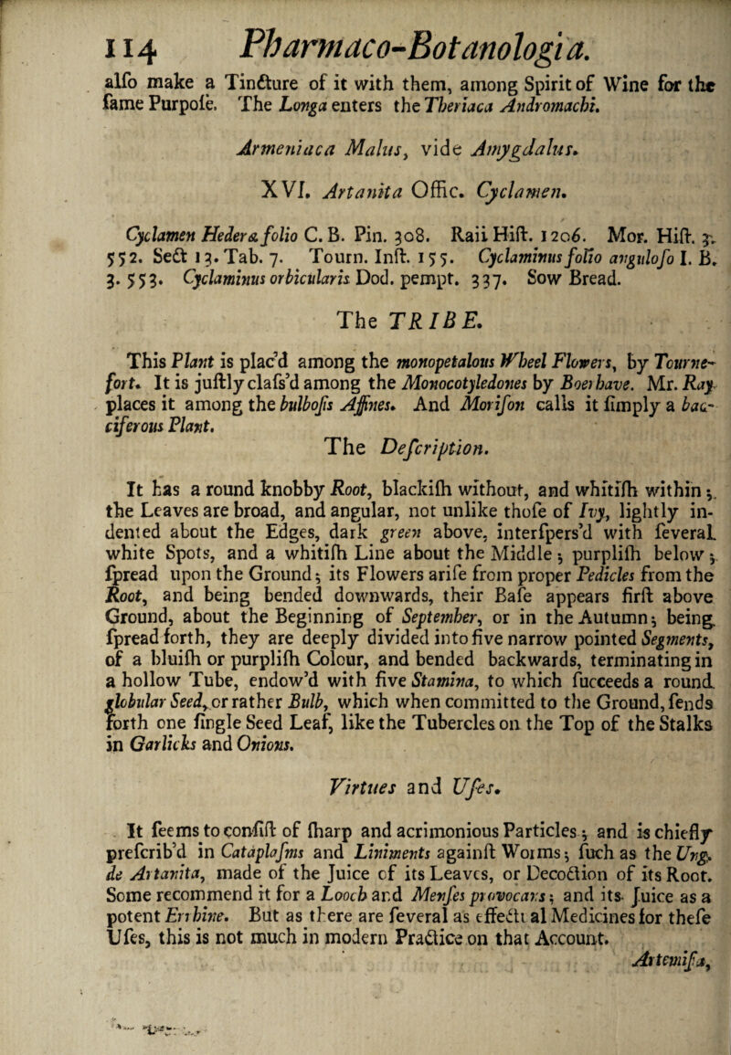 alfo make a Tindture of it with them, among Spirit of Wine for the fame Purpofe, The Longa enters the Tberiaca Andromachi. Armeniaca Mains, vide Ainygdalus* XVI, Artanita Offic. Cyclamen. Cyclamen Heder a folio C. B. Pin. 308. Raii Hift. 1206. Mor. Hid. 552. Sedt 13. Tab. 7. Tourn. Inft. 155. Cyclaminus foVio avgulofo I. B„ 3*553* Cyclaminus orbicidarh Dod. pempt. 337. Sow Bread. The TRIBE. This Plant is plac’d among the monopetalous Wheel Flowers, by Tcurne- fort. It is juftly clafs’d among the Monocotyledones by Boetbave. Mr. .Roy - places it among the bidbofs Affines♦ And Morifon calls it limply a foe- ciferous Plant. The Defcription. It has a round knobby Root, blackifh without, and whitifh within the Leaves are broad, and angular, not unlike thofe of Ivy, lightly in¬ dented about the Edges, dark green above, interfpers’d with feveral. white Spots, and a whitifh Line about the Middle •, purplifh below 4 fpread upon the Ground 5 its Flowers arife from proper Pedicles from the Root, and being bended downwards, their Bafe appears firft above Ground, about the Beginning of September, or in the Autumn * being, fpread forth, they are deeply divided into five narrow pointed Seg?nents, of a bluifh or purplifh Colour, and bended backwards, terminating in a hollow Tube, endow’d with five Stamina, to which fucceeds a round. globidar Seedy or rather Bulb, which when committed to the Ground, fends forth one fingleSeed Leaf, like the Tubercles on the Top of the Stalks in Garlich and Onions. . /' ' r 1 Virtues and Ufes. . It feems toconfifl of {harp and acrimonious Particles v and is chiefly preferib’d in Cat aplafms and Liniments againfl: W01 ms ^ fuch as the Unp de Artanita, made of the Juice of its Leaves, or Deco&ion of its Root. Some recommend it for a Loocb and Mevfes provocars; and its- Juice as a potent Errhwe. But as there are feveral as effectu al Medicines for thefe Ufes, this is not much in modern Practice on that Account* Artemifa,
