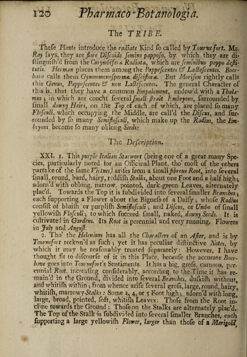 The TRIBE. Thefe Plants introduce the radiate Kind fo called by Tournefort. Mr. Ray fays, they are fiore Difcoide femine pappofo, by which they are di- fhnguifh’d from the Corymbifera Radiata, which are feminibus pcrppo defti- tutis. Herman places them among the Pappefcentes & Lattefcentes. Boer* have calls them Gymnomonofperms difciftors. But Morifon rightly calls this Genus, Pappefcentes & non Lattefccntes. The general Character of this is, that they have a common Empalement, endow'd with aTbalcr anus * in which are coucht feveral fmall /halt Embryotis, furrounded by fmall downy Hairs, on the Top of each. of which, are placed fo many Flofculi, which occupying the Middle, are call’d the Difcus, and fur- rounded by fo many Semiftofculi, which make up the Radius, the jb>»- frrjHWw become fo many oblong Seeds: The Defer? pti on. XXL i. This purple Italian Starwort (being one of a great many Spe¬ cies, particularly noted for an Officinal Plant, tho’ moft of the others partake of the fame Vh tues) arifes from a finall fibrous Root, into feveral fmall, round, bard, hairy, reddifh Stalks, about one Foot and a half high ^ adorn’d with oblong, narrow, pointed, dark-green Leaves, alternately plac’d. Towards the Top it is tubdivided into feveral fmaller Branches * each fupporting a Flower about the Bignefs of a Daify •, whofe Radius confift of bluilh or purplifh Semiftofculi *, and Difcus, or Umbo of fmall yellowifh Flofculi', to which fucceed final], naked, downy Seeds. It is cultivated in Gardens. Its Root is perennial and very running. Flowers in July and Aiiguft. 2. Tho’ the Helenium has all the Chara&ers of an After, and is by Tournefoi t reckon’d as filch •, yet it has peculiar diftin&ive Notes, by which it may be reafonably treated feparately: However, I have thought fit to difeourfe of it in this Place, becaufe the accurate Boer- have goes into Tournefoi {s Sentiments. It has a big, grofs, carnous, per¬ ennial Root, increafing confiderably, according to the Time it has re¬ main’d irt the Ground, divided into feveral Branches, dufkifh without, and whitifh within •, from whence arife feveral grofs, large, round, hairy, whitifh, marrowy Stalks: Some 3, 4, or <> Foot high •, adorn’d with long’ large, broad, pointed, foft, whitiffi Leaves: Thofe from the Root in¬ cline towards the Ground : Thofe on the Stalks are alternately plac’d. The Top of the Stalk is fubdivided into feveral fmaller Branches, each fupporting a large yellowifh Flower, larger than thofe of a Marigold