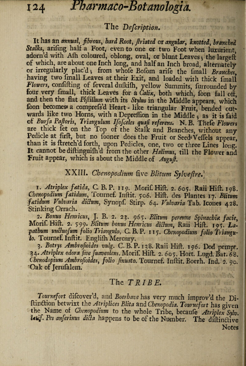 -The Defcription. It has an annual, fibrous, hard Root, firiated or angular, knotted, branched Stalks, arifing half a Foot, even to one or two Foot when luxurient, adorn’d with Afh coloured, oblong, oval, or blunt Leaves; the largeft of which, are about one Inch long, and half an Inch broad, alternately or irregularly plac’d; from whofe Bofom arife the fmall Branches, having two fmall Leaves at their Exit, and loaded with thick fmall flowers, confifting of feveral dufkilh, yellow Summits, furrounded by four very fmall, thick Leaves for a Calix, both which, foon fall oif, and then the flat Pi/lillum with its Stylus in the Middle appears, which foon becomes* a comprefs’d Heart - like triangular Fruit, bended out* wards like two Horns, with a Depreflion in the Middle , as it is faid of Burfa Pajloris, Triangulum Ifofceles quafi referens. N. B. Thefe Flowers are thick fet on the Top of the Stalk and Branches, without any Pedicle at firff, but no fooner does the Fruit or Seed-Vefiels appear, than it is ftretch d forth, upon Pedicles, one, two or three Lines long. It cannot be diftinguifh’d from the other Halimus, till the Flower and Fruit appear, which is about the Middle of Augufi. XXIII. Chenopodmm five Blitum Sylveflre.) ' | i. Atriplex f&tida, C. B. P. 119. Morifi Hift. 2. 605. Raii Hift. 198. Chew,podium f&tidum, Tournef. Inftit. 5:06. Hift. des Plantes 17. Blitum f&tidum Vulvaria dicium, Synopf Stirp. 64. Vulvaria Tab. leones 428. Stinking Orrach. I.. Bonus Henricus, B. 2. 25. S. Blitum perenne Spinachia facie, Morif Hift. 2. 599' Blitum bonus Henricus dichmi, Raii Hift. 197. La- pathum unBuofum folio Triavgulo, C. B. P. 117. Cbenopodium folio Triangu- lo. Tournef. Inftit. Englilh Mercury. 3. Botrys Ambrofioides vulg. C. B.P. 138. Raii Hift. 196. Dod pempt. 34. Atriplex odora five fuaveolens. Morif. Hift. 2. 60s. Hort. Lugd. Bat. 68. Chenodopium Ambrofioides, folio Jinuato. Tournef. Inftit. Boerh. Ind. 2. go. Oak of Jerufalem. The TRIBE. Tournefort difeover’d, and Boerhave has very much improv’d the Di- ftinction betwixt the Atriplices Blita and Cbenopodia. Tournefor t has given the Name of Cbenopodium to the whole Tribe, becaufe Atriplex Sylv. Utef. Pes anferinus dicla happens to be of the Number. The diftinctive Notes