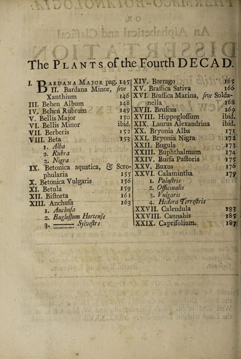 < • fr.^ n A jt A f The Plants of the Fourth D E C A D. r 1 \ J, Qardana Major pag. 14? DE  ' Bardana Minor, jive Xanthium III. Behen Album IV. Behen Rubrum V. Beilis Major VI. Beilis Minor VII. Berberis VIII. Beta 1. Alba 2. Rubra 3. Nigra . IX. Betonica aquatica, Scro- I46 148 .149 I?0 ibid. 152 phularia X. Betonica Vulgaris il. Betula XII. Biftorta XIII. Anchufa 1. Anchufa 2. Buglofjum Horunfs 3.. -—^ Sylveftre ■3 ^iii ii»»> *»•+**—* i?7 1 159 161 163 XIV. Borrago XV. Braffica Sativa XVI. Braffica Marina, five ■ nella XVII. Brufcus XVIII. Hippogloffum XIX. Laurus Alexandrina XX. Bryonia Alba XXL Bryonia Nigra XXII. Bugula XXIII. Buphthalmum XXIV. Burfa Paftoris XXV. Buxus XXVI. Calamintha 1. Palufiris 2. Officinalis 3. Vulgaris 4. Heaera cteneflm XXVII. Calendula XXVIII. Cannabis XXIX. Caprifolium. ’ 169 16$ Solda- f6i ibid, ibid. .171 : 172 • 173' 174 17? 17* 179 C