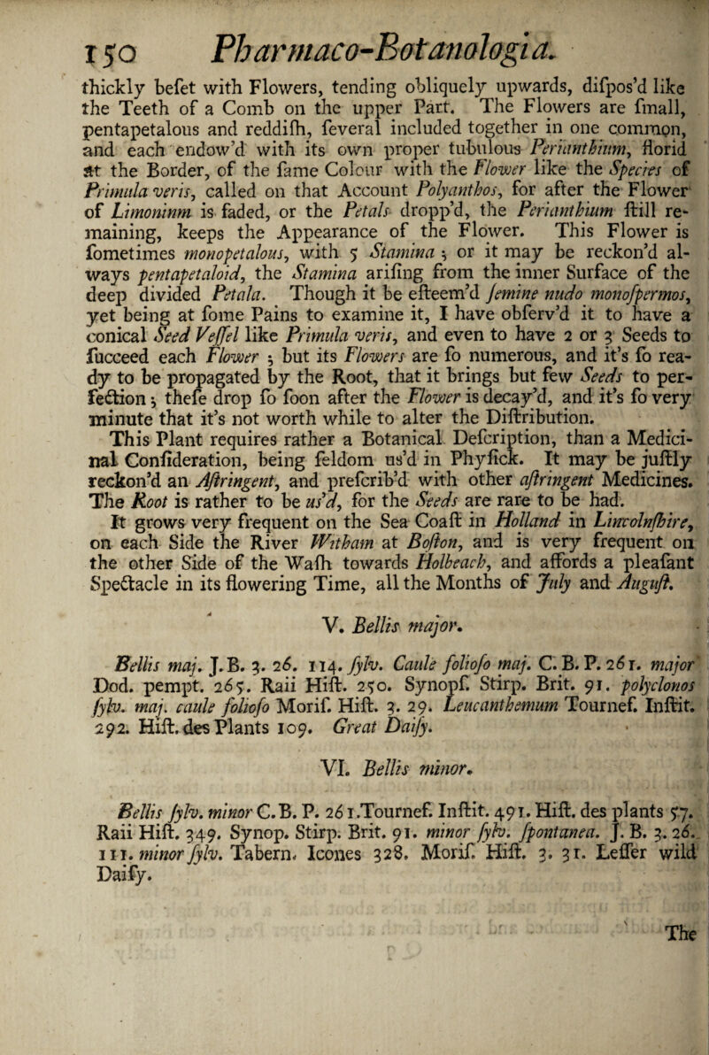 thickly befet with Flowers, tending obliquely upwards, difpos’d like the Teeth of a Comb on the upper Part. The Flowers are fmall, pentapetalous and reddifh, feveral included together in one common, and each endow'd with its own proper tubulousPeriantbium, florid dt the Border, of the fame Colour with the Flower like the Species of Primula veris, called on that Account Poly ant bos, for after the Flower of Limoninm is faded, or the Petals dropp’d, the Periantbium ftill re¬ maining, keeps the Appearance of the Flower. This Flower is fometimes monopetalous, with 5 Stamina $ or it may be reckon’d al¬ ways pentapetaloid, the Stamina arifing from the inner Surface of the deep divided Pet ala. Though it be efteem’d jemine nudo monofper mo s, yet being at fome Pains to examine it, I have obferv’d it to have a conical Seed Vejfel like Primula veris, and even to have 2 or 3 Seeds to fucceed each Flower $ but its Flowers are fo numerous, and it’s lo rea¬ dy to be propagated by the Root, that it brings but few Seeds to per¬ fection *, thefe drop fo foon after the Flower is decay’d, and it’s fo very minute that it’s not worth while to alter the Diftribution. This Plant requires rather a Botanical Defcription, than a Medici¬ nal Confideration, being feldom us’d in Phyficlc. It may be juftly reckon’d an Aftringent, and preferib’d with other aftringent Medicines. The Root is rather to be us d, for the Seeds are rare to be had. It grows very frequent on the Sea Coaft in Holland in Lincolnfhire, on each Side the River Wttham at Bojton, and is very frequent 011 the other Side of the Wa(h towards Holbeacb, and affords a pleafant SpeCtacle in its flowering Time, all the Months of July and Auguft. V. Beilis major. Beilis maj. J.B. 3. 26. 114.fylv. Cattle foliofo maj. C.B. P. 261. major Dod. pempt. 265. Raii Hift. 250. Synopf. Stirp. Brit. 91. poly clones fylv. maj. caule foliofo Morif. Hift. 3. 29. Leucantbemum Tournef. Inftit. 292. Hift. des Plants 109. Great Daify. • c VI. Beilis minor. Beilis fylv. minor C.B. P. 261.Tournef. Inftit. 491. Hift. des plants 57. Raii Hift. 349. Synop. Stirp. Brit. 91. minor fylv. fpontanea. J. B. 3. 26. hi. minor fylv. Taberm leones 328. Morif Hift. 3. 3r. Leffer wild Daify.