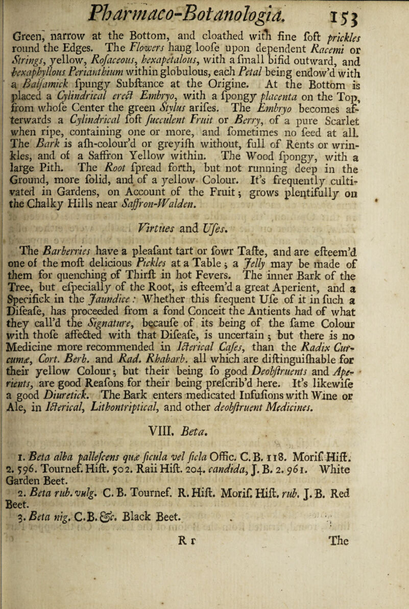 Green^ narrow at the Bottom, and cloathed with fine foft prickles round the Edges. The Flowers hang loofe upon dependent Racemi or Strings, yellow, Rofaceous, hexapetalous, with a fmall bifid outward, and t>exaphyllous Perianthium within globulous, each Petal being endow’d with a Baifamick fpungy Subftance at the Origine. At the Bottom is placed a Cylindrical ereft Embryo, with a fpongy placenta on the Top, from whofe Center the green Stylus arifes. The Embryo becomes af¬ terwards a Cylindrical foft fucculent Fruit or Berry, of a pure Scarlet when ripe, containing one or more, and fometimes no feed at all. The Bark is alh-colour’d or greyifli without, full of Rents or wrin¬ kles, and of a Saffron Yellow within. The Wood fpongy, with a large Pith. The Root fpread forth, but not running deep in the Ground, more folid, and of a yellow Colour. It’s frequently culti¬ vated in Gardens, on Account of the Fruit * grows plentifully on the Chalky Hills near Saffron-IValden. Virtues and JJfes. The Barbenies have a pleafant tart or fowr Tafte, and are efteem’d one of the moft delicious Pickles at a Table * a Jelly may be made of them for quenching of Thirft in hot Fevers. The inner Bark of the Tree, but efpecially of the Root, is efteem’d a great Aperient, and a Specifick in the Jaundice: Whether this frequent Ufe of it in fuch a Difeafe, has proceeded from a fond Conceit the Antients had of what they call’d the Signature, becaufe of its being of the fame Colour with thofe aifeded with that Difeafe, is uncertain * but there is no Medicine more recommended in I ft eric al Cafes, than the Radix Cur- cumce, Cort. Berb. and Rad. Rhubarb, all which are diftinguifhable for their yellow Colour •, but their being fo good Deobjiruents and Ape¬ rients, are good Reafons for their being prefcrib’d here. It’s likewife a good Diuretick. The Bark enters medicated Infufions with Wine or Ale, in I ft eric al, Lithontriptical, and other deobjiruent Medicines. VIII. Beta. 1. Beta alba pallefcens qua ficula vel ficla Offic. C. B. nB. Morifi Hift. 2. 596. Tournef. Hift. 502. Raii Hift. 204. Candida, J. B. 2. 961. White Garden Beet. 2. Beta rub. vulg, C. B. Tournef. R. Hift. Morif. Hift* rub. J. B. Red Beet. 3. Beta nig* C.B. ©k Black Beet.