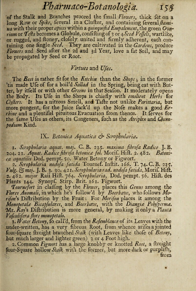 of the Stalk and Branches proceed the fmall Flowers, thick fet on a long Row or Spike, feveral in a Clufter, and containing feveralyhztfh- na with their proper apices within a quinquifidEmpalement, the green Ova¬ rium or 7'tfta becomes a Globule, confifting of 3 or 4Seed VeJJels, wartlike, or rugged, and Honey, clofely united and firmly adherent, each con¬ taining one fingle Seed. They are cultivated in the Gardens, produce Flowers and Seed after the 2d and 3d Year, love a fat Soil, and may be propagated by Seed or Root. ' Virtues and Ufes. % The Beet is rather fit for the Kit chin than the Shops $ in the former ’tis made Ufe of for a boil’d Sallad in the Spring, being eat with But¬ ter, by itfelf or with other Greens in thatSeafon. It moderately opens the Body. Its Ufe in the Shops is chiefly with emolient Herbs for Clyfters. It has a nitrous Smell, and Tafte not unlike Parietaria, but more pungent, for the Juice fuck’d up the Nofe makes a good Er- rhine and a plentiful pituitous Evacuation from thence. It ferves for the fame Ufes as others, its Congeners, fuch as the Atriplex and Cheno• podium Kind. IX. Betoniea Aquatic a & Scrophnlaria. 1. Scrophnlaria aquat. maj.. C. B. 23.5. maxima fibrofa Radice J. B, 204. 21. Aquat. Radice fibrofa betoniea Jol. Morif. Hift. 2. 482. Bet oni- ca aquatilis Dod. pempt. 50. Water Betony or Figwort. 2. Scrophnlaria nodofa fatida Tournef. Inftit. 166. T. 74. C. B. 237. Vulg. maj. J. B. 3. 30. 421. Scrophnlaria rad. nodofa fetid a, Morif. Hift. 2. 482. major Raii Hift. 764. Scrophnlaria, Dod. pempt. 56, Hift. des Plants 144. Synopf. Stirp. Brit. 161. Figwort. Fournefort in clailing by the Flower, places this Genus among the Flores Anomali, in which he’s follow’d by Boerhave, who follows Mo- rifons Diftribution by the Fruit: For Morifon places it among the Monopet alee Bicapfulares, and Boerhave, with the Diangiee Polyfperm<e. *Mr. Rays Diftribution is more general, by making it only a Plant a Vafculifera fore monopetalo. 1. Water Betony, fo call’d, from the Refemblance of its Leaves with the under-written, has a very fibrous Root, from whence arifes a jointed four-fquare ftreight branched Stalk (with Leaves like thofe of Betony, but much larger and lighter green) 3 or 4 Foot high. 2. Common Figwort has a large knobby or knotted Root, a ftreight four-Square hollow Stalk with the former, but more dark or purplifh, from