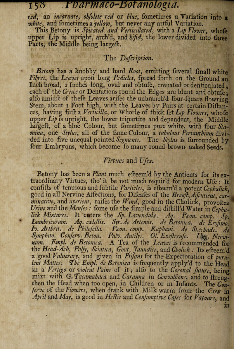 red, an incarnate, oljolete red or blue, fometimes a Variation into a wfes and fometimes a yellow, but never any artful Variation. This Betony is Spicated and Verticillated, with a Lip Flower, whole upper Lip is upright, arch’d, and bifid, the lower divided into three Parts, the Middle being largeft. , The Defcription. Betony has a knobby and hard Root, emitting feveral fmall white Fibres, the Leaves upon long Pedicles, fpread forth on the Ground an Inch broad, 2 Inches long, oval and obtufe, crenated or denticulated * each of the Cren<e or Dentations round the Edges are blunt and obtufe *, alfo amidft of thefe Leaves arifes the unbranch’d four-fquare flowring Stem, about 1 Foot high, with the Leaves by Pairs at certain Diftan- ces, having fir ft a Vert ie ilia, or Whorle of thick fet Lip Flowers, whofe upper Lip is upright, the lower tripartite and dependent, the Middle largeft, of a blue Colour, but fometimes pure white, with four Sta¬ mina, one Stylus, all of the fame Colour, a tubulous Perianthium divi¬ ded into five unequal pointed Segments. The Stylus is furrounded by- four Embryons, which become fo many round brown naked Seeds. Virtues and Ufes. Betony has been a Plant much efteem’d by the Antients for its ex¬ traordinary Virtues, tho’ it be not much requir’d for modern Ufe : It confifts of tenuious and fubtile Particles, is efreem’d a potent Cephalick, good in all Nervine Affedions, for Difeafes of the Breaft, difcutient, car- , minative, and aperient, raifes the Wind., good in the Cholick, provokes ® Urine and the Menfes: fome ufe the Ample and diftill’d Water in Cepha¬ lick Mixtures. It enters, the Sp. LavenduU. Aq. Pton. comp. Sp. Lumbricorum. Aq. coeleftis. Syr. de Artemis. de Betonica. de Eryfimo. Iv. Arthrit. de Philofella. Pet on. comp. Raphani. de Suchade. de Symphito. Conferv. Beton. Pulv. Antilys. 01. Ex eft re ufe. Ung. fhervi- num. Empl. de Betonica. A Tea of the Leaves is recommended for the Head-Ach, Palfy, Sciatica, Gout, Jaundice, and Cholick : Its efteem’d a good. Vulnerary, and given in Ptifans for tho Expedoration of puru¬ lent Matter. *fhe Empl. de Betonica is frequently apply’d to the Head in a Vertigo or violent Pains of it $ alfo to the Coronal future, being mixt with G. Tacamahaca and Caranna in Convulfions, and to ftreng- then the Head when too open, in Children or in Infants. The Con¬ ferv e of the Flowers, when drank with Milk warm from the Cow in April and May, is good in Heftic and Confitmptive Cajes for Vapours, and an