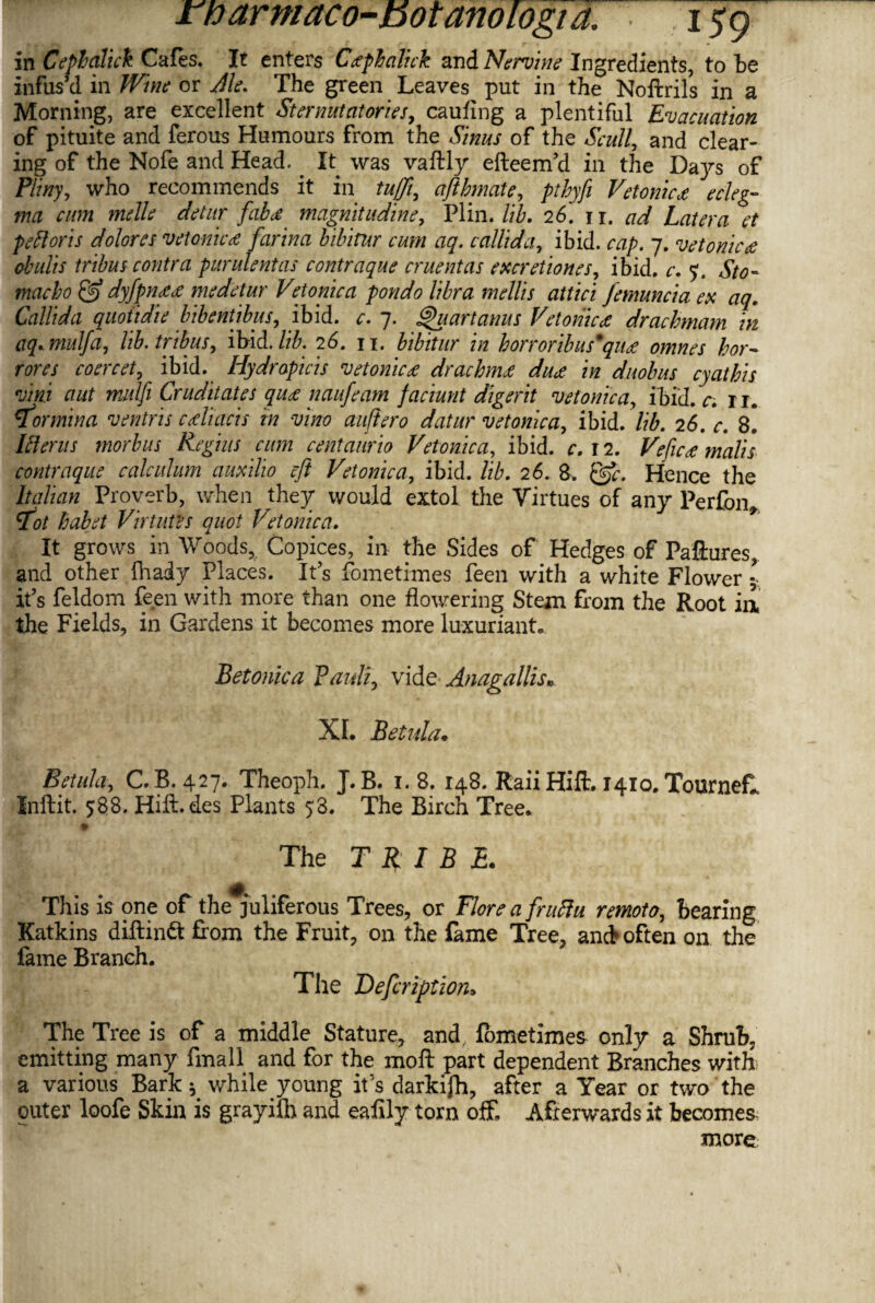 in CePhalich Cafes. It enters C<epbalick and Nervine Ingredients, to be infus’d in Wine or Ale. The green Leaves put in the Noftrils in a Morning, are excellent Sternutatories, caufing a plentiful Evacuation of pituite and ferous Humours from the Sinus of the Scull, and clear¬ ing of the Nofe and Head. . It was vaftly efteem’d in the Days of Pliny, who recommends it in tuffi, afthmate, ptbyfi Vetonicx eel eg- ma cum melle detnr faba magnit udine, Plin. lib. 26. 11. ad Later a et p eft oris dolor es vetonica farina bibirur cum aq. collid'd, ibid. cap. 7. vetonica oh alts tribus contra purulent as contraque cruentas excretiones, ibid. r. 7. macho & dyfpn<e<e medetur Vetonica pondo libra mellis attici femuncia ex aq, Callida quoiidie bibentibus, ibid. c. 7. if'u art anus Vetomca drachmam in aq*.mulfa, lib. tribus, ibid. lib. 26, 11. bibitur in horroribus*qu<£ omnes hor~ rores coercet, ibid. Hydropicis vetonica drachma dues in duobus cyathis vim aut mulfi Cruditates quee naufeam f aciunt digerit vetonica, ibid. c. 11. tormina ventris cdiacis in vino aufiero datur vetonica, ibid. lib. 26. c. 8. Ulerus morbus Regius cum centaurio Vetonica, ibid. c. 12. Vefic<e malis contraque calculum auxilio eft Vetonica, ibid. lib. 26. 8. &c. Hence the Italian Proverb, when they would extol the Virtues of any Perfbn* rfot habet Virtues quot Vetonica. It grows in Woods, Copices, in the Sides of Hedges of Failures, and other ftiady Places. It’s fometimes feen with a white Flower \ it’s feldom feen with more than one flowering Stem tom the Root in, the Fields, in Gardens it becomes more luxuriant, Betonica Pauli, vide Anagallis* XI. Betula. Betula, C.B. 427. Theoph. J.B. 1.8. 148. Raii Hift. 1410, TourneL inllit. $88. Hift. des Plants 58. The Birch Tree, * The TRIBE. This is one of the juliferous Trees, or Flore a fruflu remoto, bearing Rations diftinft from the Fruit, on the fame Tree, and1 often on the fame Branch. The Defcription, The Tree is of a middle Stature, and, fometimes only a Shrub, emitting many fmall and for the moft part dependent Branches with a various Bark ; while young it’s darkifh, after a Year or two the outer loofe Skin is grayilh and eafily torn off. Afterwards it becomes more