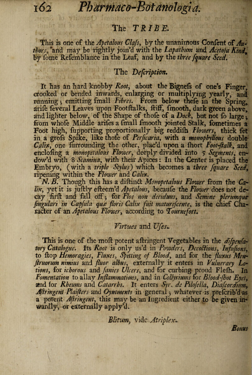 The TRIBE. This is one of the Apetalous Clafs, by the unanimous Gonfent of Au¬ thors, 'and may be rightly join’d with the Lapathim and Aceto/a Kindt by lome Refemblance in the Leaf, and by the three fquare Seed, The Description. It has an hard knobby Root, about the Bignefs of one’s Fingerr crooked or bended inwards, enlarging or multiplying yearljr, and running •, emitting fmall Fibres. From below thefe in the Spring, arife feveral Leaves upon Footftalks, ftiff, fmooth, dark green above, and lighter below, of the Shape of thofe of a Dock, but not fo large y from whofe Middle arifes a fmall fmooth jointed Stalk, fometimes a Foot high, fupporting proportionally big reddilh flowers, thick fet in a grofs Spike, like thofe of Perficaria, with a monophyllous double Calix, one furrounding the other, plac’d upon a fhort Foot-ftalky and enclofing a monopetalous Flower, deeply divided into $ Segments, en¬ dow’d with 8 Stamina, with their Apices: In the Center is placed the Embryo, (with a triple Stylus) which becomes a three, fquare Seed, ripening within the Flower and Calix. N.B. Though this has a diftindt Monopetalous Flower from the Ca¬ lix, yet it is juftly efteem’d Apetaloas, becaufe the Flower does not de¬ cay firft and fall off for Flos non decidms, and Semine plernmquc fingulari in Capful a qu£ floris Calix fuit maturefcentey is the chief Cha¬ racter of an Apetalous Flower, according to ournefort. Virtues and Ufes* This is one of the moft potent aftringent Vegetables in the difpenfa- Tory Catalogue. Its Root is only us’d in Powders, Decoftions, Infufions, to flop Hemoragies, Fluxes, Spitting of Blood, and for the fluxus Men- ftruorum niniius and fluor alhus, externally it enters in Vulnerary Lo¬ tions, for ichorous and fames Ulcers, and for curbing proud Flefh. In Fomentation to allay Inflammations, and in Collyriums for Blood-fbot Eyes, and for Rheums and Catarrhs. It enters Syr., de Pilofella, Diafcordium., Aftringent Plaifters and Oyntments in general •, whatever is prefcrib’d as a potent Aftringent, this may be an Ingredient either to be given in- wardly, or externally apply’d. Blitumj vide At rip lex• Bonus