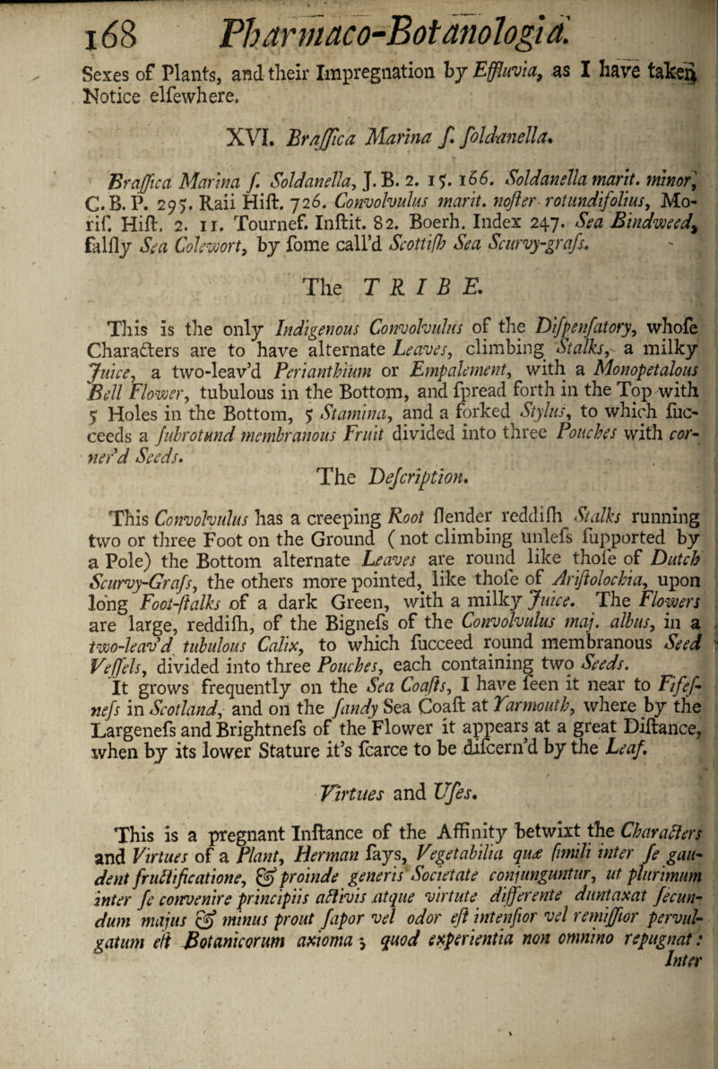 Sexes of Plants, and their Impregnation by Effluvia, as I have taken Notice elfewhere. XVI. Braffica Marina f. foldanella. Brajjica Marina f. Soldanella, J.B. 2. 17. 166. Soldanella marit. minor, C.B. P. 295. Raii Hift. 726. Convolvulus marit. nofter■ rotundifolius, Mo rif. Hift, 2. 11. Tournef. Inftit. 82. Boerh. Index 247. Sea Bindweed^ falfly Sea Colewort, by fome call’d Scottifb Sea Scurvy-grafs. - 3 The TRIBE. This is the only Indigenous Convolvulus of the Difpenfatory, whole Characters are to have alternate Leaves, climbing Stalks, a milky Juice, a two-leav’d Perianthium or Empalement, with a Monopetalous Bell Flo-way tubulous in the Bottom, and fpread forth in the Top with 5 Holes in the Bottom, $ Stamina, and a forked Stylus, to which fuc- ceeds a Jubrotund membranous Fruit divided into three Pouches with cor¬ ner'd Seeds. The Defcription. This Convolvulus has a creeping Root {lender reddifli Stalks running two or three Foot on the Ground ( not climbing unlefs fupported by a Pole) the Bottom alternate Leaves are round like thole of Dutch Scurvy-Grafs, the others more pointed,. like thole of Ariftolochia, upon long Foot-ftalks of a dark Green, with a milky Juice. The Flowers are large, reddifh, of the Bignefs of the Convolvulus maj. albus, in a iwo-leavd tubulous Calix, to which fucceed round membranous Seed Veffels, divided into three Pouches, each containing two Seeds. It grows frequently on the Sea Coafts, I have feen it near to Fife}- in Scotland,- and on the fandy Sea Coaft at Yarmouth, where by the Largenefs and Brightnefs of the Flower it appears at a great Diftance, when by its lower Stature it’s fcarce to be difcern’d by the Leaf. -Virtues and Vfes. This is a pregnant Inftance of the Affinity betwixt the Characters and Virtues of a Plant, Herman fays, Vegetabilia qu<e fimili inter fegau- dent fruliifcatione, & proinde generis Societate conjunguntur, ut phtrimum inter fe convenire principiis aftivis ntque virtute differente duntaxat fecun- dum majus & minus prout fapor vel odor eft intenfior vel remiffior pervul- gatum eft Botanicorum axioma •, quod experientia non omnino repugnat: