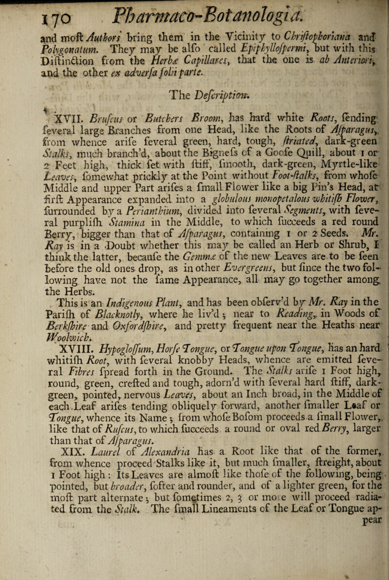 and mo ft Authors bring them in the Vicinity to Cbrijiofiortam and Polygonatum. They may he alfo called Fpiphyllofpermi, hut with this Diftinftion from the Herbee Capillans, that the one is ab Anteriorly and the other ex adverfa fold parte.. The Defcription. 4 XVII. Erufcus or Batchers Broom, has hard white Roots, fending feveral large Branches from one Head, like the Roots of Ajparagusy from whence arife feveral green, hard, tough, ftriated, dark-green Stalks, much branch’d, about the Bignefs of a Goofe Quill, about i or 2 Feet high, thick fet with ftiff, fmooth, dark-green, Myrtle-like Leaves, fomewhat prickly at the Point without Foot-fialks, from whole Middle and upper Part arifes a fmall Flower like a big Pin’s Head, at firft Appearance expanded into a globulous monopetalous whitijh Flower, furrounded by a Perianthium, divided into feveral Segmentsr with feve¬ ral purplifh Stamina in the Middle, to which fucceeds a red round Berry, bigger than that of Afparagus, containing i or 2 Seeds. Mr. Ray is in a .Doubt whether this may be called an Herb or Shrub, X think the latter, becaufe the Gemnu of the new Leaves are to be feen before the old ones drop, as in other Evergreens, but fince the two fol¬ lowing have not the lame Appearance, all may go together among, the Herbs. This is an Indigenous Plant, and has been obferv’d by Mr. Ray in the Parifh of Blacknotly, where he liv’d *, near to Readingr in Woods of Berkfbire and Oxfordjhire, and pretty frequent near the Heaths near Woolwich. XVIII. Hypogloffum, Horfe Tongue, or Tongue upon Tongue, has an hard whitifh Root, with feveral knobby Heads, whence are emitted feve¬ ral Fibres fpread forth in the Ground. The Stalks arife 1 Foot high, round, green, creftedand tough, adorn’d with feveral hard ftiff, dark- green* pointed* nervous Leaves, about an Inch broad, in the Middle of each.Leaf arifes tending obliquely forward, another fmaller Ltaf or Tfongue, whence its Name *, from whofeBofom proceeds a fmall Flower,, like that of Rufcus, to which fucceeds a round or oval red Berry^ larger than that of Afparagus. XIX. Laurel of Alexandria has a Root like that of the former,, from whence proceed Stalks like it, but much fmaller, ftreight, about 1 Foot high : Its Leaves are almoft like thofe of the following, being pointed, but broader, fofter and rounder, and of a lighter green, for the moft part alternate ^ but fom^times 2, 3 or moie will proceed radia¬ ted from the Stalk. The fmall Lineaments of the Leaf or Tongue ap- -■. ' pear