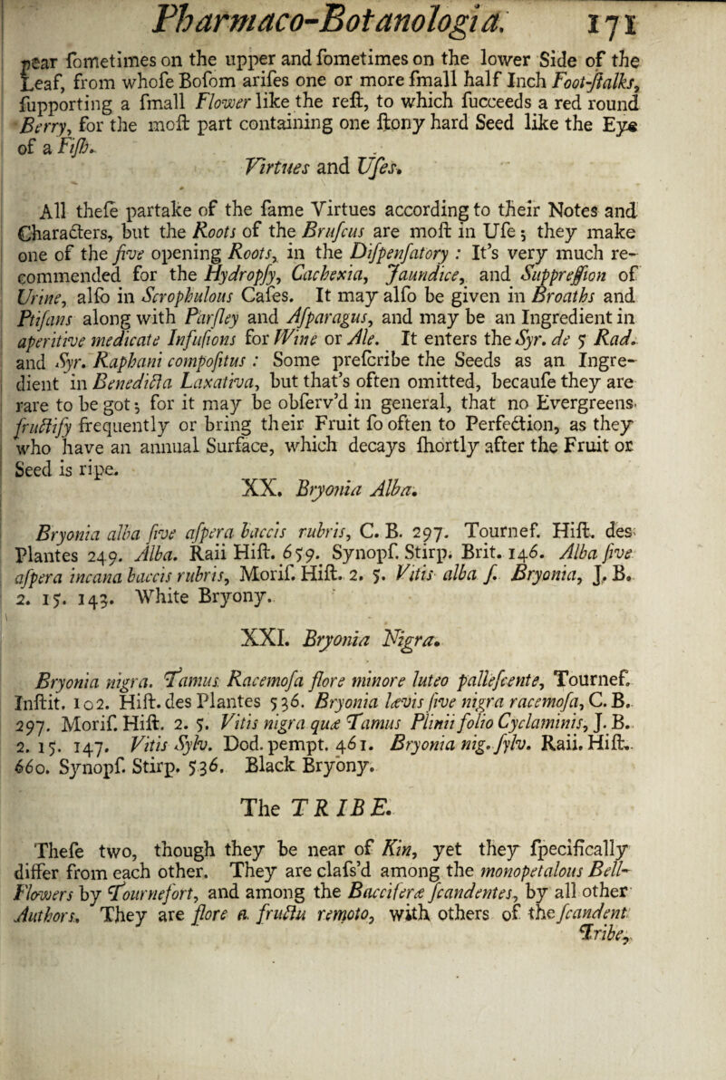 pear fometimes on the upper and fometimes on the lower Side of the j leaf, from whofe Bofom arifes one or more fmall half Inch Footfialks, fupporting a fmall Flower like the reft, to which fucceeds a red round Berry, for the moft part containing one ftony hard Seed like the Eye of a Fiji)* Virtues and Ufes. + . All thefe partake of the fame Virtues according to their Notes and Characters, but the Roots of the Brufcus are moft in Ufe $ they make one of the free opening Rootsr in the Difpenfatory : It’s very much re¬ commended for the Hydropfy, Cachexia, Jaundice, and Supprejfion of Uriner alfo in Scrophulous Cafes. It may alfo be given in Broaths and Ptifans along with Parfley and Afparagus, and may be an Ingredient in aperitive medicate Infufions for Wine or Ale. It enters the Syr. de 7 Rad. and Syr. Raphani compofitus : Some prefcribe the Seeds as an Ingre¬ dient in Benedict a Laxativa, but that’s often omitted, becaufe they are rare to be got *, for it may be obferv’d in general, that no Evergreens. fruftify frequently or bring their Fruit fo often to Perfection, as they who have an annual Surface, which decays fhortly after the Fruit or ! Seed is ripe. XX. Bryonia Alba. Bryonia alba five afpera baccis rubric, C. B. 297. Tournef. Hift. des; Plantes 249. Alba. Raii Hift. Synopf. Stirp. Brit. 146. Alba five afpera incana baccis rubris, Morif. Hift. 2. 5. Fit is alba f. Bryonia, J, B. 2. 15. 145. White Bryony. XXL Bryonia Nigra. Bryonia nigra. 1l wins Racemofa flore minore luteo pallefcente, Tournef Inftit. 102. Hift. des Plantes 536. Bryonia lavis five nigra racemofa? C.B.. 297. Morif. Hift. 2.5. Vitis nigra, qua Tamus Plinii folio Cyclaminis, J. B. 2.15. 147. Vitis Sylv. Dod. pempt. 461. Bryonia nig. fylv. Raii. Hift- 660. Synopf. Stirp. 536. Black Bryony. The TRIBE. Thefe two, though they be near of Kin, yet they fpecifically differ from each other. They are clafs’d among the monopetalous Bell- Flowers by rfournefort, and among the Baccifer# fcandentes, by all other Authors.. They are flore a fruftu remoto? with others of the fcandent: