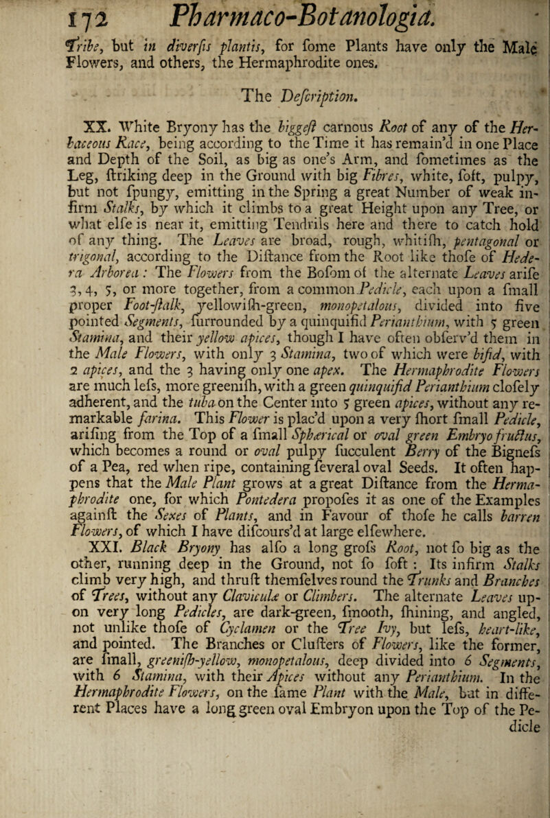 fribe, but in diverfis pi antis, for fome Plants have only the Male Flowers, and others, the Hermaphrodite ones, - . - - The Defeription. XX. White Bryony has the biggejl carnous Root of any of the Her¬ baceous Race, being according to the Time it has remain’d in one Place and Depth of the Soil, as big as one’s Arm, and fometimes as the Leg, ftriking deep in the Ground with big Fibres, white, foft, pulpy, but not fpungy, emitting in the Spring a great Number of weak in¬ firm Stalks, by which it climbs to a great Height upon any Tree, or what elfe is near it, emitting Tendrils here and there to catch hold of any thing. The Leaves are broad, rough, whitifh, pentagonal or trigonal, according to the Diftance from the Root like thofe of Hede- ra Arborea: The Flowers from the Bofom of the alternate Leaves arife 3,4, 5, or more together, from a common .Pedicle, each upon a fmall proper Foot folk, j^ellowilh-green, monopet alous, divided into five pointed Segments, furrounded by a quinquifid Penantbmm, with 5 green Stamina, and their yellow apices, thougli I have often obferv’d them in the Male Flowers, with only 3 Stamina, two of which were bifid, with 2 apices, and the 3 having only one apex. The Hermaphrodite Flowers are much lefs, more greenifh, with a green quinquifid Periantbium clofely adherent, and the tuba on the Center into 5 green apices, without any re¬ markable farina. This Flower is plac’d upon a very fhort fmall Pedicle, arifing from the Top of a fmall Spherical or oval green Embryo fru ft us, which becomes a round or oval pulpy fucculent Berry of the Bignefs of a Pea, red when ripe, containing feveral oval Seeds. It often hap¬ pens that the Male Plant grows at a great Diftance from the Herma¬ phrodite one, for which Pontedera propofes it as one of the Examples againft the Sexes of Plants, and in Favour of thofe he calls barren Flowers, of which I have discours’d at large elfewhere. XXI. Black Bryony has alfo a long grofs Root, not fo big as the other, running deep in the Ground, not fo foft : Its infirm Stalks climb very high, and thruft themfelves round the franks and Branches of frees, without any Claviculce or Climbers. The alternate Leaves up¬ on very long Pedicles, are dark-green, fmooth, fhining, and angled, not unlike thofe of Cyclamen or the free Ivy, but lefs, heart-like, and pointed. The Branches or Clufters of Flowers, like the former, are fmall, greenifh-yellow, monopet alous, deep divided into 6 Segments, with 6 Stamina, with their Apices without any Periantbium. In the Hermaphrodite Flowers, on the fame Plant with the Male, bat in diffe¬ rent Places have a long green oval Embryon upon the Top of the Pe¬ dicle