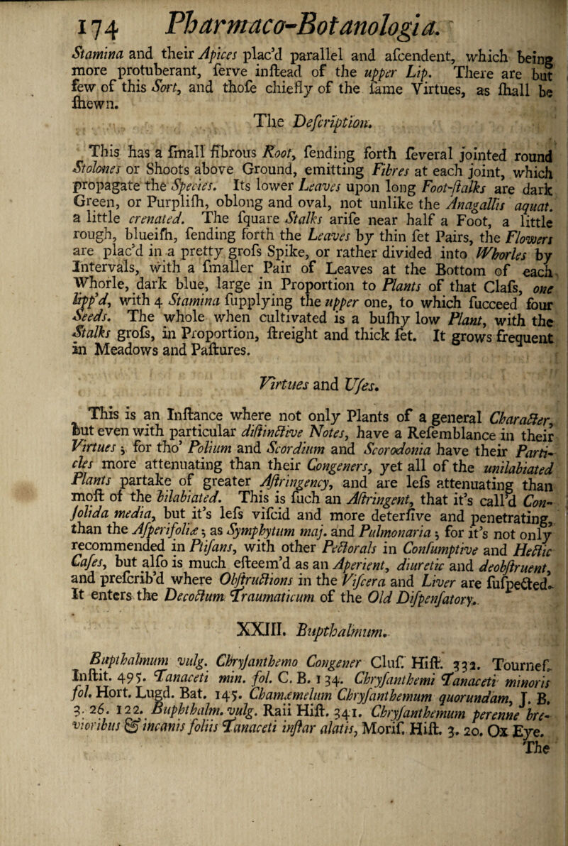 Stamina and their Apices plac’d parallel and afcendent, which Being more protuberant, ferve inftead of the upper Lip. There are bat few of this Sort, and thofe chiefly of the lame Virtues, as {hall be firewn. r. . , The Description* This has a {mall fibrous Rooty fending forth feveral jointed round Stolones or Shoots above Ground, emitting Fibres at each joint, which propagate the Species. Its lower Leaves upon long Footstalks are dark Green, or Purplifh, oblong and oval, not unlike the AnagalTu aquat. a little crenated. The fquare Stalks arife near half a Foot, a little rough, blueifh, fending forth the Leaves by thin fet Pairs, the Flowers are plac’d in a pretty grofs Spike, or rather divided into Whorles by Intervals, with a fmaller Pair of Leaves at the Bottom of each Whorle, dark blue, large in Proportion to Plants of that Clafs, one lipp'd, with 4 Stamina fupplying the upper one, to which fucceed four Seeds. The whole when cultivated is a bufliy low Plant, with the Stalks grofs, In Proportion, {freight and thick let. It grows frequent in Meadows and Paftures. Virtues and Ufes. This is an In fiance where not only Plants of a general Character but even with particular diftinttive. Notes, have a Refemblance in their Virtues y for tho’ Polium and Scordium and Scorodonia have their Parti•- cles more attenuating than their Congeners, yet all of the unilabiated Plants partake of greater Aftringency, and are lefs attenuating than moft of the bilabicited. This is fuch an Aftringent, that it’s call a Con- jolida media, but it’s lefs vifcid and more deterfive and penetrating, than the Afperifolu *, as Symphytum maj. and Pulmonaria * for its not only recommended in Ptifans, with other Pell orals in Confumptive and Hettic Cafes, but alfo is much efteem’d as an Aperient, diuretic and deobftruent, and prefcrib’d where Objtruttions in the Vifcera and Liver are fufpe&edl It enters the Decoftum iXraumaticum of the Old Difpenfatory. XXIII. Bupthalmum Bupthalmum vulg. Chryjanthemo Congener Cluf. Hifi. 332. Tournef. Inftit. 495. Fanaceti min. fol. C. B. 134. Chryfanthemi Fanaceti minoris fol. Hort. Lugd. Bat. 145. Cham,emelum Chryfanthemum quorundam, J. B. 3; 26. 12 2. Buphthalm. vulg. Raii Hift, 341* Chryfanthemum perenne brem vwnbus incanis foliis Fanaceti inftar alatis, Morif. Hift. 3. 20. Ox Eye. The'