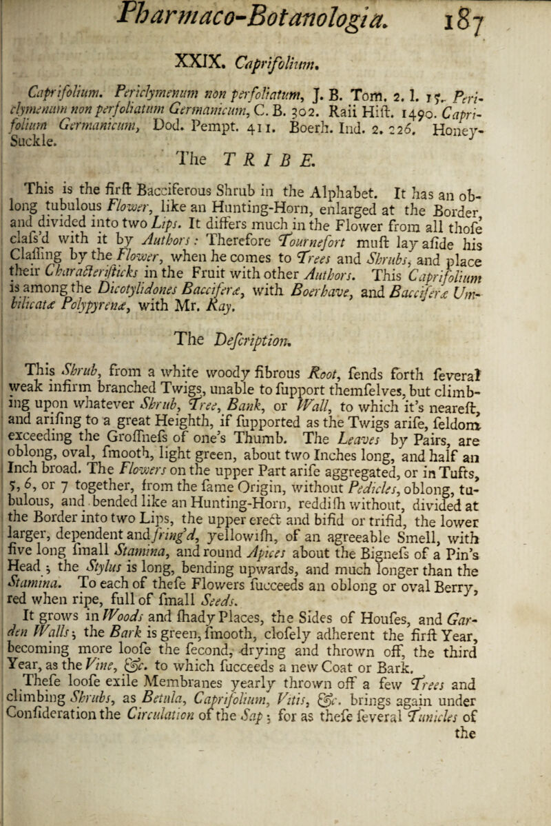 XXIX, Caprifoliwn• Cap-[folium. Periclymenum non perfoliatm, J. B. Tom. 2.1. 17.. /V/. clymenam non perfoliatum Germanicum, C. B. 302. Raii Hift. 1490. 'Capri- folium Germanicum., Dod. Pempt. 411. Boerh. Ind. 2, 226. Honey¬ suckle. J The TRIBE. This is the fir ft Bacciferous Shrub in the Alphabet. It has an ob¬ long tubulous Flown', like an Hunting-Horn, enlarged at the Border and divided into two Lips. It differs much in the Flower from all thofe clafs’d with it by Authors: Therefore Tournefort muff layafide his Clading by the Flower, when he comes to Trees and Shrubs, and place their Char after [(ticks in the Fruit with other Authors. This Capri folium is among the Dicotylidones Baccifert, with Boer have, and Baccifera Urn- lilicau Polypyrem, with Mr. Ray. The Defcription• This Shrub, from a white woody fibrous Root, fends forth feveral weak infirm branched Twigs, unable tofupport themfelves. but climb¬ ing upon whatever Shrub, Tree, Bank, or Wall, to which its neareft, and arifing to a great Heighth, if fupported as the Twigs arife, feldonx exceeding the Groffnefs of one's Thumb. The Leaves by Pairs, are oblong, oval, fmooth, light green, about two Inches long, and half ail i Inch broad. The Flowers on the upper Part arife aggregated, or in Tufts, 5, 6, or 7 together, from the fame Origin, without Pedicles, oblong, tu¬ bulous, and bended like an Hunting-Horn, reddifh without, divided at the Border into two Lips, the upper erect and bifid or trifid, the lower larger, dependent and fringd, yellowifh, of an agreeable Smell, with five long fmall Stamina, and round Apices about the Bignefs of a Pins Head ^ the Stylus is long, bending upwards, and much longer than the Stamina. To each of thefe Flowers fucceeds an oblong or oval Berry, red when ripe, full of fmall Seeds. It grows in Woods and fhady Places, the Sides of Houfes, and Gar¬ den Wallsthe Bark is green, fmooth, clofely adherent the firft Year, becoming more loofe the fecond, -drying and thrown off, the third Year, as the Vine, &c. to which fucceeds a new Coat or Bark. Thefe loofe exile Membranes yearly thrown off a few Trees and climbing Shrubs, as Beinla, Caprifolium, Vitis, Q)c. brings again under Confideration the Circulation of the Sap \ for as thefe feveral Tunicles of the