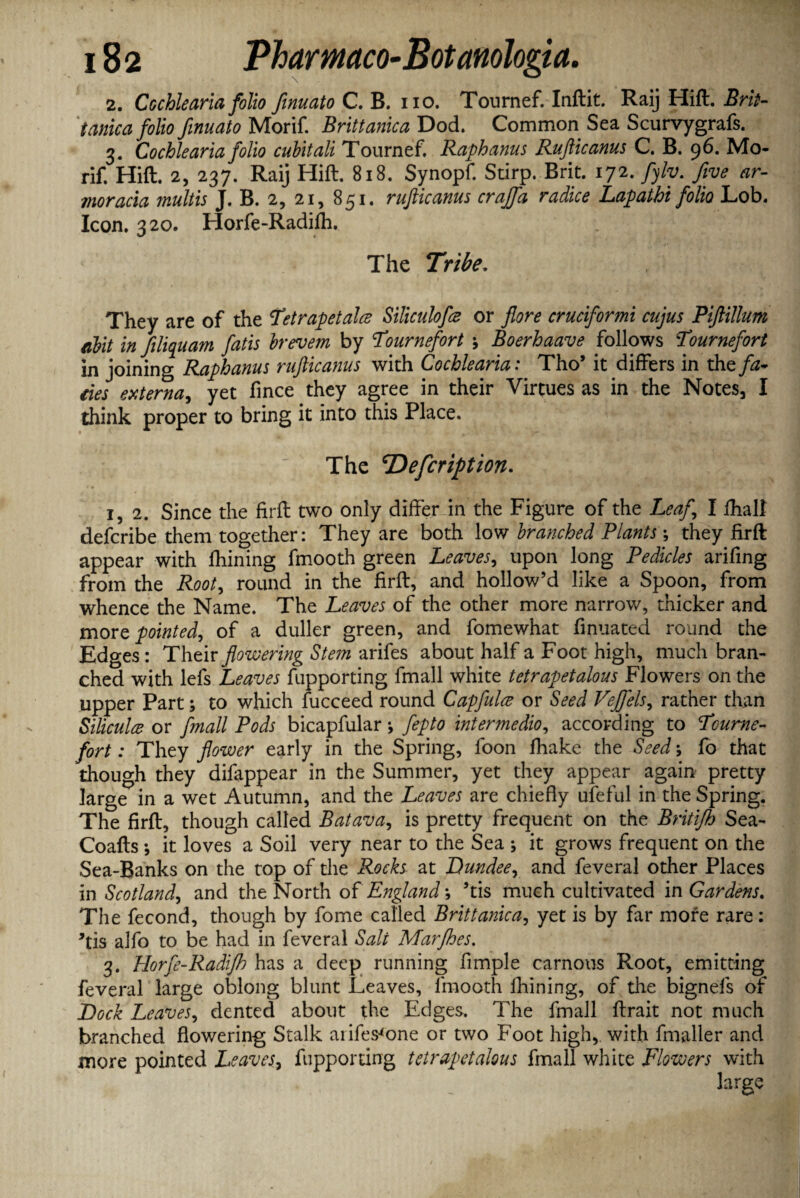 2. Cochlearia folio finuato C. B. no. Tournef. Inftit. Raij Hift. Brit- tanka folio finuato Morif. Brittanica Dod. Common Sea Scurvygrafs. 3. Co chle aria folio cubitali Tournef. Raphanus Rufticanus C. B. 96. Mo¬ rif, Hift. 2, 237. Raij Hift. 818. Synopf. Stirp. Brit. 172. fyly. five ar¬ mor acia multis J. B. 2, 21, 851. rufticanus crajfa radice Lapathi folk Lob. Icon. 320. Horfe-Radifh. The Tribe. They are of the Tetrapetalce Siliculofiz or jlore cruciformi cujus Piftillum obit in filiquam fatis brevem by 'Tournefort ; Boerhaave follows Tournefort in joining Raphanus rufticanus with Cochlearia: Tho’ it differs in the fa- ties externa, yet fmce they agree in their Virtues as in the Notes, I think proper to bring it into this Place. The <rDefcrifttion. 1, 2. Since the firft two only differ in the Figure of the Leaf I fhalf defcribe them together: They are both low branched Plants \ they firft appear with fhining fmooth green Leaves, upon long Pedicles arifing from the Root, round in the firft, and hollow’d like a Spoon, from whence the Name. The Leaves of the other more narrow, thicker and more pointed, of a duller green, and fomewhat finuated round the Edges : Their flowering Stein arifes about half a Foot high, much bran¬ ched with lefs Leaves fupporting fmall white tetrapetalous Flowers on the upper Part; to which fucceed round Capful# or Seed Vejfels, rather than Siliculce or fmall Pods bicapfular j fepto intermedio, according to Tcume- fort: They flower early in the Spring, foon fhake the Seed; fo that though they difappear in the Summer, yet they appear again pretty large in a wet Autumn, and the Leaves are chiefly ufeful in the Spring. The firft, though called Batava, is pretty frequent on the Britijh Sea- Coafts ; it loves a Soil very near to the Sea ; it grows frequent on the Sea-Banks on the top of the Rocks at Dundee, and feveral other Places in Scotland, and the North oh England', ’tis much cultivated in Gardens. The fecond, though by fome called Brittanica, yet is by far more rare: ’tis alfo to be had in feveral Salt Mar/hes. 3. Horfe-Radifh has a deep running fimple carnous Root, emitting feveral large oblong blunt Leaves, fmooth fhining, of the bignefs of Dock Leaves, dented about the Edges. The fmall ftrait not much branched flowering Stalk arifes^one or two Foot high, with fmaller and more pointed Leaves, fupporting tetrapetalous fmall white Flowers with large