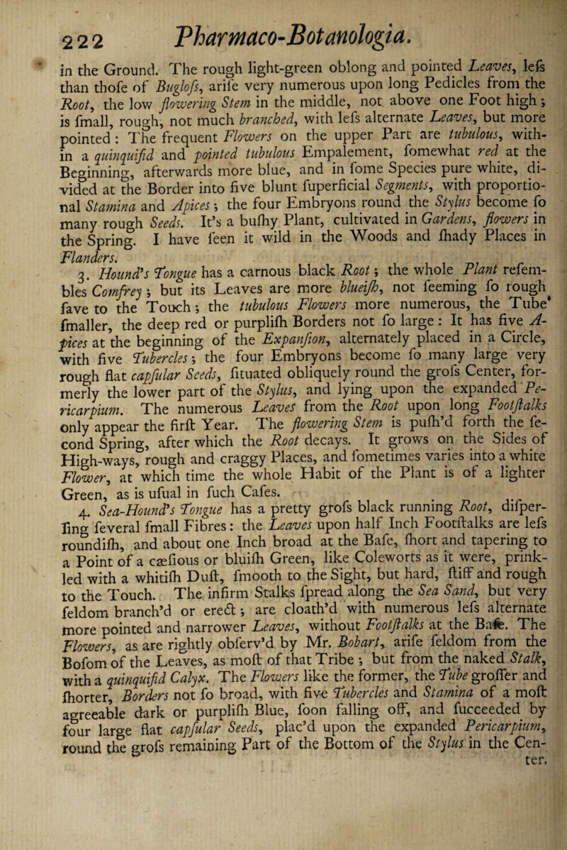 in the Ground. The rough light-green oblong and pointed Leaves, lefs than thofe of Buglofs, arife very numerous upon long Pedicles from the Root, the low flowering Stem in the middle, not above one Foot high ; is fmall, rough, not much brcinched, with lefs alternate Leaves, but more pointed : The frequent Flowers on the upper Part are tubulous, with¬ in a quinquifld and pointed tubulous Empalement, fomewhat red at the Beginning, afterwards more blue, and in fome Species pure white, di¬ vided at the Border into five blunt fuperficial Segments, with proportio¬ nal Stamina and Apices ; the four Embryons round the Stylus become fo many rough Seeds. It’s a bulhy Plant, cultivated in Gardens, flowers in the Spring. I have feen it wild in the Woods and ihady Places in FldYldcY'S. 3. Hound’s Longue has a carnous black Root; the whole. Plant refem- bles' Comfrey ; but its Leaves are more blueijh, not feeming fo rough^ fave to the Touch; the tubulous Flowers more numerous, the Tube* fmaller, the deep red or purpliih Borders not fo large : It has five A- pices at the beginning of the Expanfion, alternately placed in a Circle, with five Tubercles-, the four Embryons become fo many large very rouo-h fiat capfular Seeds, fituated obliquely round the grols Center, for¬ merly the lower part of the Stylus, and lying upon the expanded Pe- ric arpium. The numerous Leaves from the Root upon long Footftalks only appear the firft Year. The flowering Stem is pulh’d forth the fe- cond Spring, after which the Root decays. It grows on the Sides of High-ways, rough and craggy Places, and fometimes varies into a white Flower, at which time the whole Habit of the Plant is of a lighter Green, as is ufual in fuch Cafes. 4. Sea-Hound’s Longue has a pretty grofs black running Root, difper- ling feveral fmall Fibres: the Leaves upon half Inch Footftalks are lefs roundilh, and about one Inch broad at the Bafe, fhort and tapering to a Point of a ctefious or bluifh Green, like Coleworts as it were, prink- led with a whitifh Dull, frnooth to the Sight, but hard, ftiff and rough to the Touch. The infirm Stalks fpread along the Sea Sand, but very feldom branch’d or ereft; are cloath’d with numerous lefs alternate more pointed and narrower Leaves, without Footftalks at the Bafe. The Flowers, as are rightly obferv’d by Mr. Bobart, arife feldom from the Bofom of the Leaves, as moft of that Tribe ; but from the naked Stalk, with a quinquifld Calyx. The Flowers like the former, the Lube grofler and Ihorter, Borders not fo broad, with five Tubercles and Stamina of a moft agreeable dark or purpliih Blue, foon falling off, and fucceeded by four large flat capfular Seeds, plac’d upon the expanded Pericarpium, round the grofs remaining Part of the Bottom of the Stylus in the Cen- , i ter,