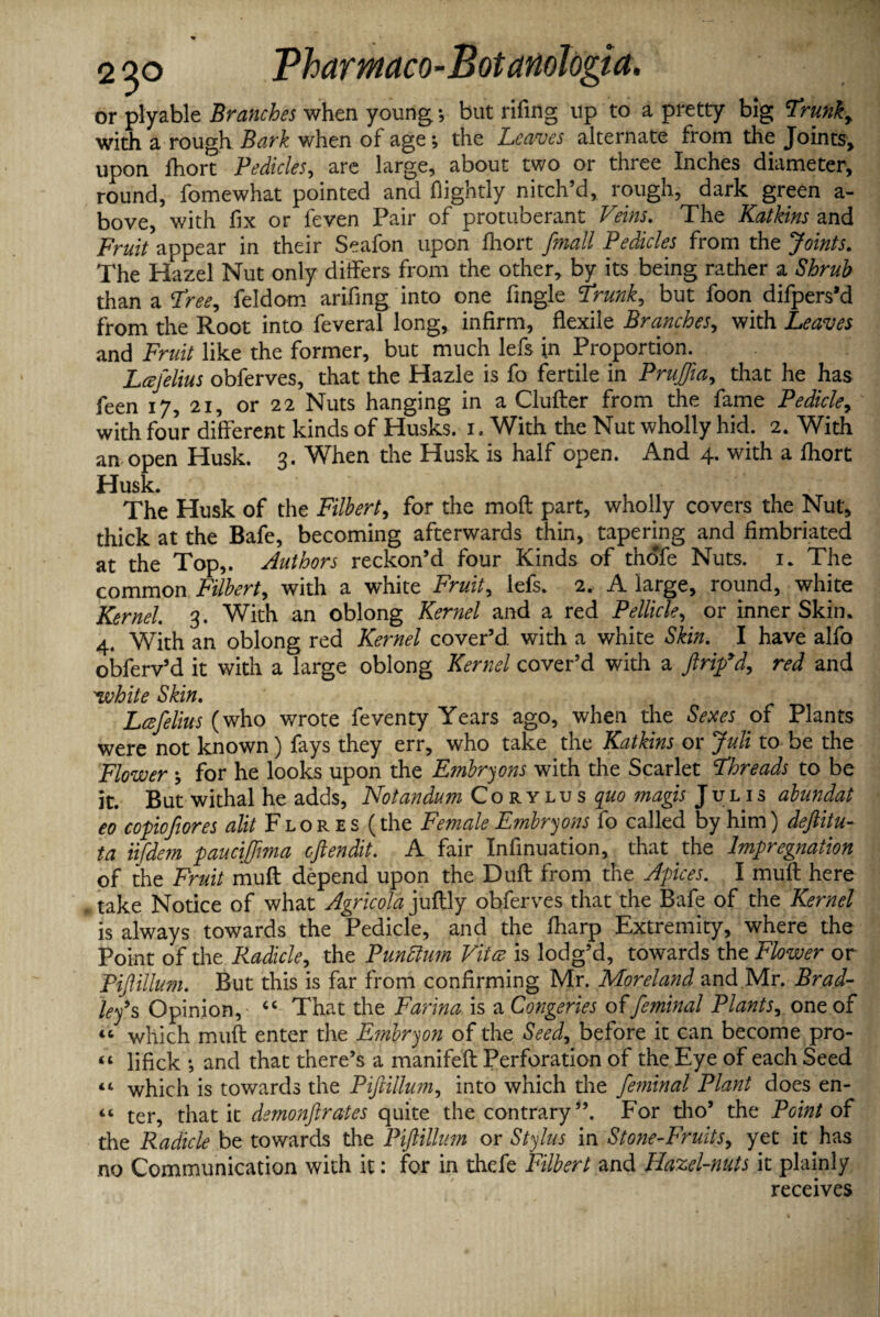 or plyable Branches when young. *, but riling up to a pretty big Trunk, with a rough Bark when of age; the Leaves alternate from the Joints, upon fhort Pedicles, are large, about two or three Inches diameter, round, fomewhat pointed and nightly nitch’d, rough, dark green a- bove, with fix or leven Pair of protuberant Veins. The Katkins and Fruit appear in their Seafon upon Ihort [mall Pedicles from the Joints. The Hazel Nut only differs from the other, by its being rather a Shrub than a Tree, feldom arifing into one fingle Trunk, but foon difpers’d from the Root into feveral long, infirm, flexile Branches, with Leaves and Fruit like the former, but much lefs in Proportion. Lafelius obferves, that the Hazle is fo fertile in Pruffia, that he has feen 17, 21, or 22 Nuts hanging in a Clufter from the fame Pedicle, with four different kinds of Husks. 1. With the Nut wholly hid. 2. With an open Husk. 3. When the Husk is half open. And 4. with a fhort Husk. The Husk of the Filbert, for the moll part, wholly covers the Nut, thick at the Bafe, becoming afterwards thin, tapering and fimbriated at the Top,. Authors reckon’d four Kinds of thofe Nuts. 1. The common Filbert, with a white Fruity lefs. 2, A large, round, white Kernel. 3. With an oblong Kernel and a red Pellicle y or inner Skin. 4. With an oblong red Kernel cover’d with a white Skin. I have alfo obferv’d it with a large oblong Kernel cover’d with a ftrip’d, red and 'white Skin. Lafelius (who wrote feventy Years ago, when the Sexes of Plants were not known) fays they err, who take the Katkins or Juli to be the Flower ^ for he looks upon the Embryons with the Scarlet Threads to be it. But withal he adds, Notandum CoRYLusp magis Julis abundat eo copiofiores alit Flores (the Female Embryons fo called by him) deftitu- ta iifdem pauciffma oftendit. A fair Infinuation, that the Impregnation of the Fruit muff depend upon the Duff from the Apices. I mult here take Notice of what Agricola juflly obferves that the Bafe of the Kernel is always towards the Pedicle, and the fharp Extremity, where the Point of the Radicky the Punttum Vita is lodg’d, towards the Flower or Pifiillum. But this is far from confirming Mr. Moreland and Mr. Brad¬ ley’s Opinion, cc That the Farina is a Congeries offeminal PlantSy one of “ which muff enter the jEmbry on of the Seedy before it can become pro- « lifick ; and that there’s a manifeft Perforation of the Eye of each Seed “ which is towards the Pifiillum, into which the feminal Plant does en- “ ter, that it demonftrates quite the contrary”. For tho’ the Point of the Radicle be towards the Pifiillum or Stylus in Stone-Fruits9 yet it has no Communication with it: for in thefe Filbert and Hazel-nuts it plainly receives