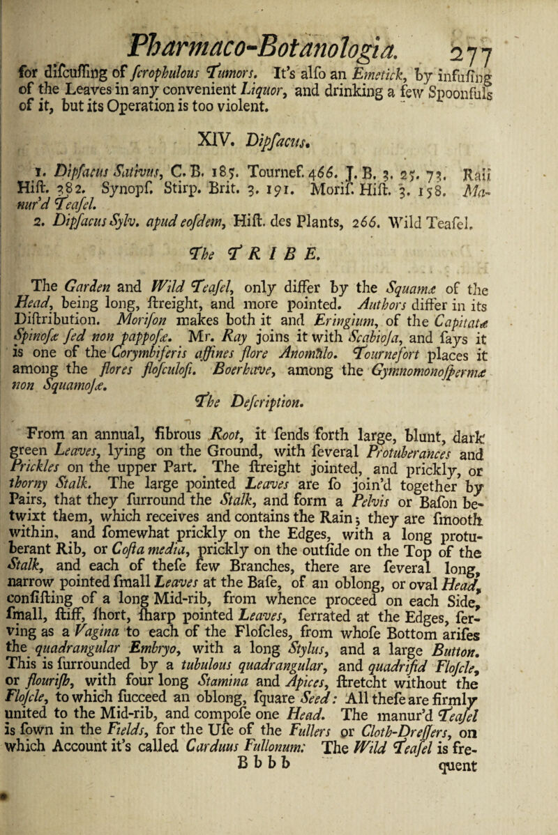 for difcufling of fcrophulous \tumors. It’s alfo an Emetick, by infufliig of the Leaves in any convenient Liquor, and drinking a few Spoonfuls of it, but its Operation is too violent. i- ; - - XIV. Dipfactts. i •- »• fM, , * 1. Dipfacus Sativus, Cfi. i8y. Tournef. <\66. J, B. 3. 2j. 73. Raii Hift. 382. Synopf, Stirp. Brit. 3. 191. Morif. Hift. 3. 158. nurd Teafel. 2. DipfacusSylv. apud eofdem, Hift. des Plants, 266. Wild Teafel, The 'Tribe. The Garden and Teafel, only differ by the Squama of the Head, being long, ftreight, and more pointed. Authors differ in its Diftribution. Morifon makes both it and Eringhtm, of the Capitate Spinofa fed non pappofe. Mr. Ray joins it with Scabioja, and fays it is one of the Corymbiferis affines flore Anomtilo. Tournef or t places it among the flores flofculofi. Boer have, among the Gymnomonofperma non Squamoja. The Defcription. From an annual, fibrous Root, it fends forth large, blunt, dark green Leaves, lying on the Ground, with feveral Protuberances and Prickles on the upper Part. . The ftreight jointed, and prickly, or thorny Stalk. The large pointed Leaves are fo join’d together by Pairs, that they furround the Stalk, and form a Pelvis or Bafon be¬ twixt them, which receives and contains the Rain * they are fmooth within, and fomewhat prickly on the Edges, with a long protu¬ berant Rib, or Cojia media, prickly on the out fide on the Top of the Stalk, and each of thefe few Branches, there are feveral long, narrow pointed fmall Leaves at the Bafe, of an oblong, or oval Head confifting of a long Mid-rib, from whence proceed on each Side* fmall, ftiff, fhort, fharp pointed Leaves, ferrated at the Edges, fer- ving as a Vagina to each of the Flofcles, from whofe Bottom arifes the. quadrangular Embryo, with a long Stylus, and a large Button. This is furrounded by a tubulous quadrangular, and quadrifid Flofcle„ or flourijh, with four long Stamina and Apices, ftretcht without the Flojcle, to which fucceed an oblong, fquare Seed: All thefe are firmly- united to the Mid-rib, and compofe one Head. The manur’d Teafel is fown in the Fields, for the Ufe of the Fullers or Cloth-Drejfers, on which Account it’s called Carduus Fullonum: The Wild Teafel is fre- B b b b quent