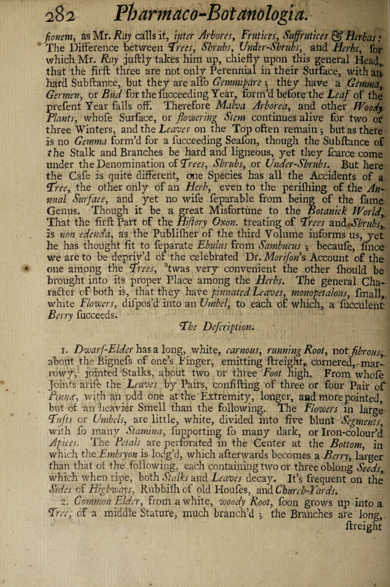 fionem, as Mr. Ray calls it, inter Arbores, Frutices, Suffrutices & Herbas: The Difference between Trees, Shrubs, Under-Shrubs, and Herbs, for which Mr. juftly takes him up, chiefly upon this general Head,, that the firft three are not only Perennial in their Surface, with an hard Subftance, but they are alfo Gemmipare \ they have a Gemma, Germen, or Bud for the fucceeding Year, form'd before the Leaf of the prefent Year falls off. Therefore Malva Arborea, and other Woody Plants, whofe Surface, or flowering Stem continues alive for two or three Winters, and the Leaves on the Top often remain ^ but as there is no Gemma form'd for a fucceeding Seafon, though the Subftance of the Stalk and Branches be hard and ligneous, yet they fcarce come under the Denomination of Trees, Shrubs, or Under-Shrubs. But here the Cafe is quite different, one Species has all the Accidents of a Tree, the other only of an Herb, even to the perifhing of the An¬ nual Surface, and yet no wife . feparable from being of the fame Genus. Though it be a great Misfortune to the Botanick World,, That the firft Part of the Hifiory Oxon. treating of Trees andfSh'rubsrj is non edenda, as the Publifher of the third Volume informs us, yet he has thought fit to feparate Ebulus from Sambucus 5 becaufe, fince we are to be depriv'd of the celebrated Dr. MorifonsAccount of the one among the Trees, 'twas very convenient the other fhould be brought into its proper Place among the Herbs. The general Cha¬ racter of both is, that they have pinnated Leaves, monopetalous, final!,, white Flowers, difpos'd into an Umbel, to each of which, a fucculent: Berry fucceeds. The Defcription. 1. Dwarf-Elder has a long, white, car nous, running Root, not fibrous about the Bignefs of one’s Finger, emitting ftreight,. cornered, mar¬ rowy, jointed Stalks, about two 'or three Foot high. From whole Joints a rife the Leaves by Pairs, confifting of three or four Pair of Pinnee, .with an odd one at the Extremity, longer, and more pointed but of an heavier Smell than the following. The Flowers in large Tufts or Umbels, are little, white, divided into five blunt Segments, with fo many Stamina, Supporting fo many dark, or Iron-colour'd Apices. The Petals are perforated in the Center at the Bottom, in which the Embry on ls-lodg d, which afterwards becomes a Berry, larger than that of the following, each containing two or three oblong Seeds,, which when ripe, both Stalks and Leaves deca}^. It's frequent on the Sides of Highways, Rubbilh of old Houfes, and Church-Yards. 2. Common Elder, from a white, woody Root, foon grows up into a Tree, of a middle Stature, much branch’d , the Branches are long, ftreight