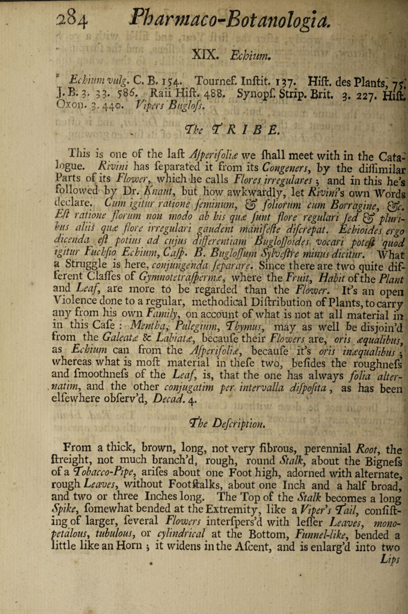 XIX* Echium* Echium vulg. C. B. 15:4. Tournef. Inftit. 137. Hifi:. des Plants' if J.B. 3. 33. 586. Raii HifL 488. Synopf. Strip. Brit. 3, 227. Hut! Oxon. 3.440. Vipers B uglofs. STfe *t R '1 B E, This is one of the laft AJperifolia we fhall meet with in the Cata¬ logue. /f/w'tfi has feparated it from its Congeners, by the diifimilar Parts of its Flower, which lie calls Flores irregulares $ and in this he’s followed by Dr. Knaiit, but how awkwardly, let Rivims own Words declare. Cum igjtur ratione feminum, & foliorum cum Borragine, Qfc. Eft ratione florum non modo ab bis qua funt flore regulari Jed & pluri- bus ulus qua flore irregulari gaudent munifefte diferepat. Echioides ergo die end a eft pot ins ad cujus differ entiam BugloJJoides vocari pot eft quod igitur Fucbfeo Echium, Cajp. B. Buglojfum Sylveftre minus dicitur. What a Struggle is here, conjungenda feparare. Since there are two quite dif¬ ferent Gaffes of Gymnotetrafperma, where the Fruity Habit of the Plant and Leaf are more to be regarded than the Flower. It’s an open Violence done to a regular, methodical Diftribution of Plants, to carry any from his own Family, on account of what is not at all material in in this Cafe : Mentha, Pulegium, Thymus, may as well be disjoin’d from the Gale at a Sc Labiata, becaufe their Flowers are, oris a quadbits, as Echium can from the Afper folia, becaufe it’s oris inaqualihus \ whereas what is moft material in thefe two, befides the roughnefs and fmoothnefs of the Leaf is, that the one has always folia alter- natim, and the other conjugatim per intervalla difpofita, as has been elfewhere obferv’d, Decad. 4. The Defcription. From a thick, brown, long, not very fibrous, perennial Root, the ftreight, not much branch’d, rough, round Stalk, about the Bignefs of a Tobacco-Pipe, arifes about one Foot high, adorned with alternate, rough Leaves, without Footftalks, about one Inch and a half broad, and two or three Inches long. The Top of the Stalk becomes a long Spike, fomewhat bended at the Extremity, like a Viper s Tail, confin¬ ing of larger, feveral Flowers interfpers’d with leffer Leaves, mono- petalous, tubulous, or cylindrical’ at the Bottom, Funnel-like, bended a little like an Horn it widens in the Afcent, and is enlarg’d into two