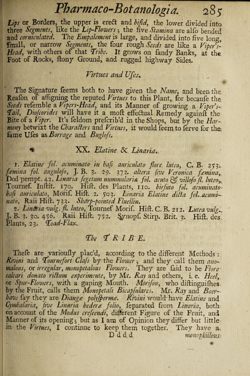 Lips or Borders, the upper is ere£t and bifid, the lower divided into three Segments, like the Lip-Flowers •, the live Stamina are alfo bended and corniculcited. The Empalement is large, and divided into five long, fmall, or narrow Segments, the four rough Seeds are like a Vipers- Head, with others of that Tribe. It grows on fandy Banks, at the Foot of Rocks, ftony Ground, and rugged highway Sides. Virtues and Ufes, The Signature feems both to have given the Name, and been the Reafon. of aligning the reputed Virtues to this Plant, for becaufe the Seeds refemble a Vipers-Head? and its Manner of growing a Vipers- Vail, Diofcorides will have it a moft effectual Remedy againft the Bite of a Viper. It’s feldom preferib’d in the Shops, but by the Har¬ mony betwixt the Characters and Virtues, it would feem to ferve for the. fame Ufes as Borrage and Buglofs, * XX. Elatine &C Linaria♦, r. Elatine fol acuminato in bafi auriculato flore luteo, C. B. 273. femina fol angulofo, J. B. 3.. 29. 372. altera five Veronica fiemina, Dod pempt. 42. Linaria fegetum nummularisi fol. acuto villofofl. luteo^ Tournef. Inftit. 170. Hift. des Plants, no. hirfuto fol acuminato* bafi auric ulat 0, Morif Hift, 2. 703. Linaria Elatine did a fol, acumi¬ nato, Rail Hift. 733. Sharp-pointed Fluellin. 2. Lincrriaviiig. fi. luteo, Tournef Morif. Hift. C.B. 212. Luteavulg., J. B. 3. 30. 476. Raii Hift. 77.2. §ynopf. Stirp. Brit. 3. Hift. des. Plants, 23. Toad-Flax., The Tribe, Thefe are varioufly plac’d, according to the different Methods:. Kivini and Tournefort Clafs by the Flower $ and they call them ano¬ malous, or irregular, monopetalous Flowers. They are laid to be Flore • calcari donato riCtum experimente, by Mr. Ray and others, i. e. Heel, or Spur-Flowers, with a gaping Mouth. Morifon, who diftinguiffies by the Fruit, calls them Monopetali Bicapfulares. Mr. and Boer— have fay they are Diangee polyjpermtf. Kivini would'have Elatine and Cymbal aria, five Linaria heder<e folio, feparated from Linaria, both on account of the Modus crefcendi, different Figure of the Fruit, and Manner of its opening ^ but as I am of Opinion they differ hut little in the Virtues, X continue to keep them together. They have a, D d d .d. monophiiloiis■