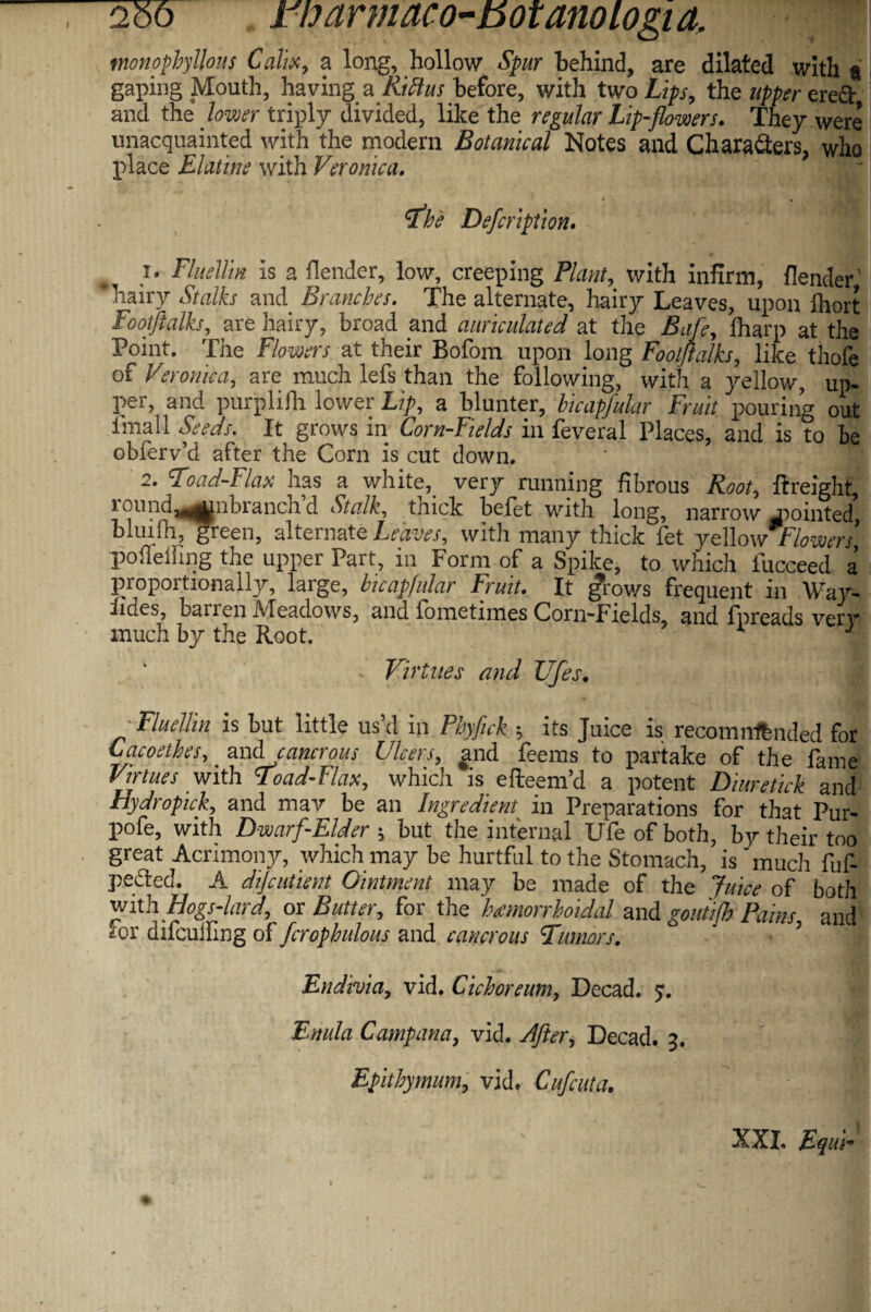 monophyllous Calix, a long, hollow Spur behind, are dilated with a i gaping Mouth, having a Rictus before, with two Lips, the upper eredt and the .lower triply divided, like the regular Lip-flowers. They were unacquainted with the modern Botanical Notes and Characters, who place Elatine with Veronica. I a be Defcription. }. Fluellin is a fiender, low, creeping Plant, with infirm, {lender' hairy Stalks and Branches. The alternate, hairy Leaves, upon ihort Footftalks, are hairy, broad and auriculated at the Bafe, lharp at the Point. The Flowers at their Bofom upon long Footftalks, like thole of Veronica, are much lefs than the following, with a yellow, up¬ per, and purplifh lower Lip, a blunter, bicapfular Fruit pouring out imall Seeds. It grows in Corn-Fields in feveral Places, and is to be obferv’d after the Corn is cut down. 2. Toad-Flax has a white,_ very running fibrous Root, ftreight, ) -iind^^nbranch d Stalk, tmek belet with long, narrow mointed, bluiili, green, alternate Leaves, with many thick let yellow Ilowers poflelfing the upper Part, in Form of a Spike, to which fucceed a proportionally, large, bicapfular Fruit. It jfrows frequent in Wart¬ imes, barien IVIeadows, and lometimes Corn-Fields, and fpreads verv much by the Root. 1 J - Virtues and JJfes. -Fluellin is but little us’d in Phyfick ; its Juice is recomnftnded for Cacoethes, _ and cancrous Ulcers, ^nd feems to partake of the fame Virtues with Toad-Flax, whicli is edeem’d a potent Diuretick and Hydropick, and mav be an Ingredient in Preparations for that Pur- pofe, with Dwarf-Elder ; but the internal Ufe of both, by their too great Acrimony, which may be hurtful to the Stomach, is much fuf- pected. A difeutient Ointment may be made of the Juice of both y/ith. Hogs-lard, or Butter, for the hemorrhoidal and routifh Pains and ior difculfing of fcrophulous and cancrous Tumars. ■ ’ i Endivia, vid. Cichoreum, Decad. y, Enula Camp ana, vid. After, Decad. 3. Epithymum, vid. Cufcuta. I XXL Equi*